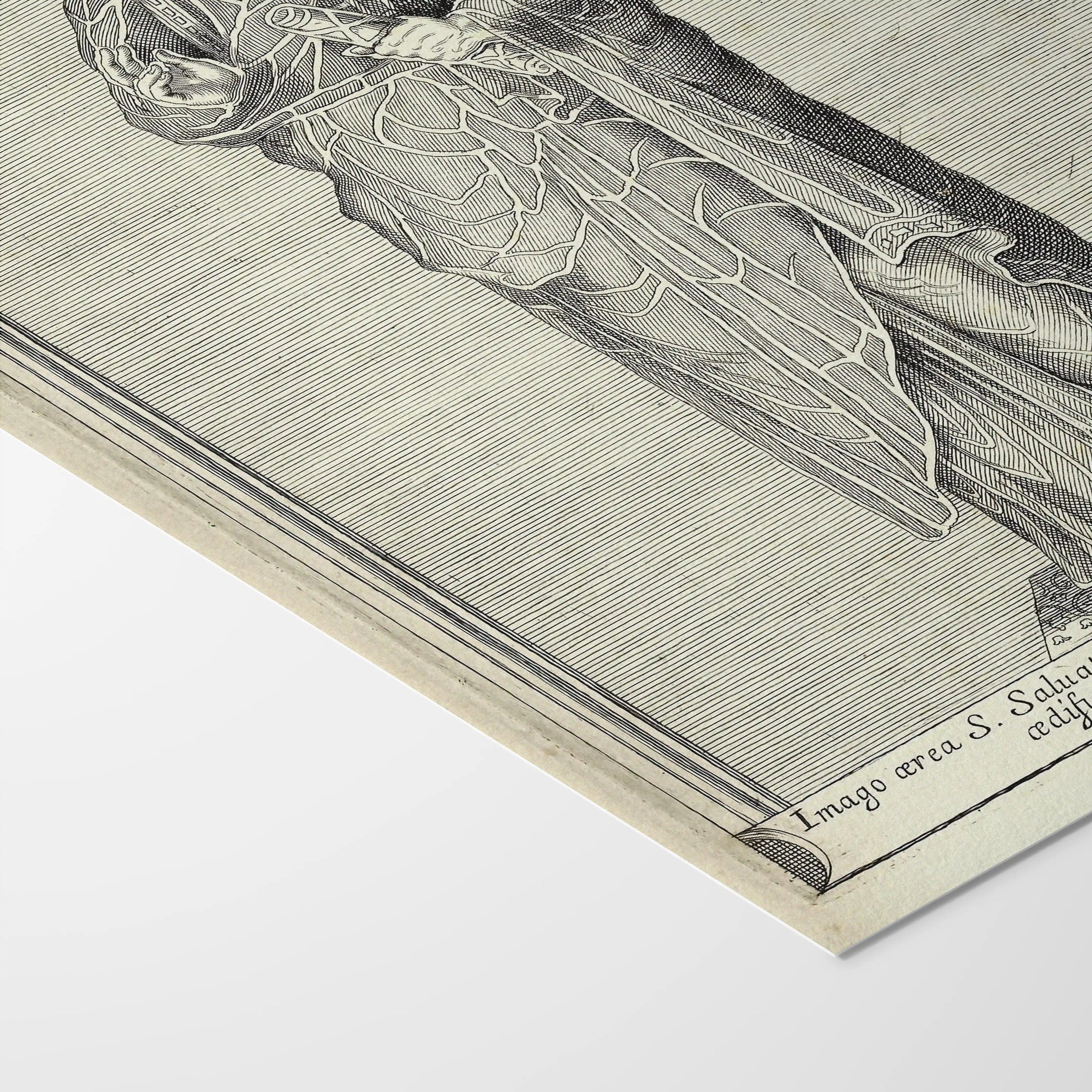Archives: Plate No. 16
