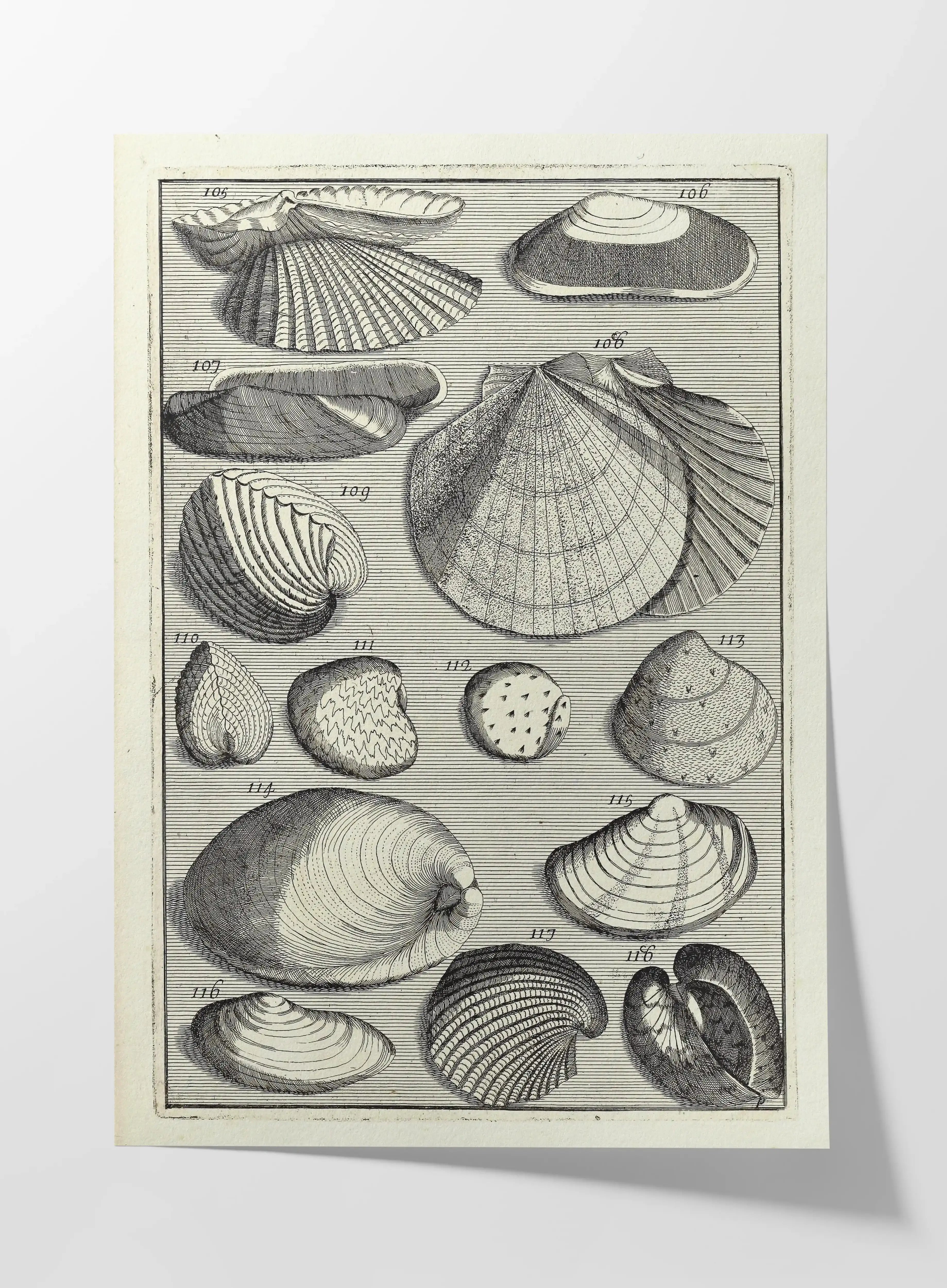 Archives: Plate No. 17