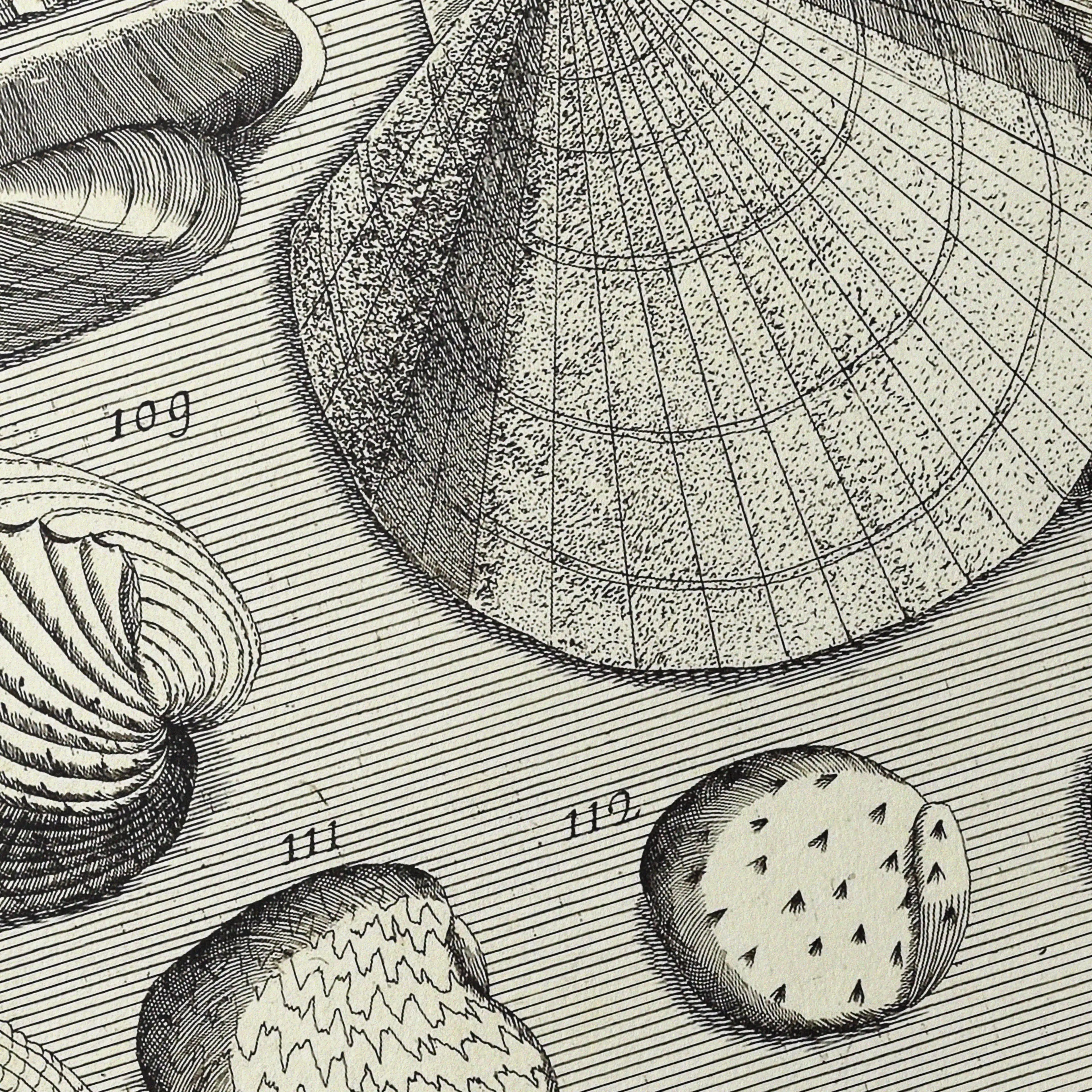 Archives: Plate No. 17