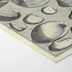 Archives: Plate No. 17