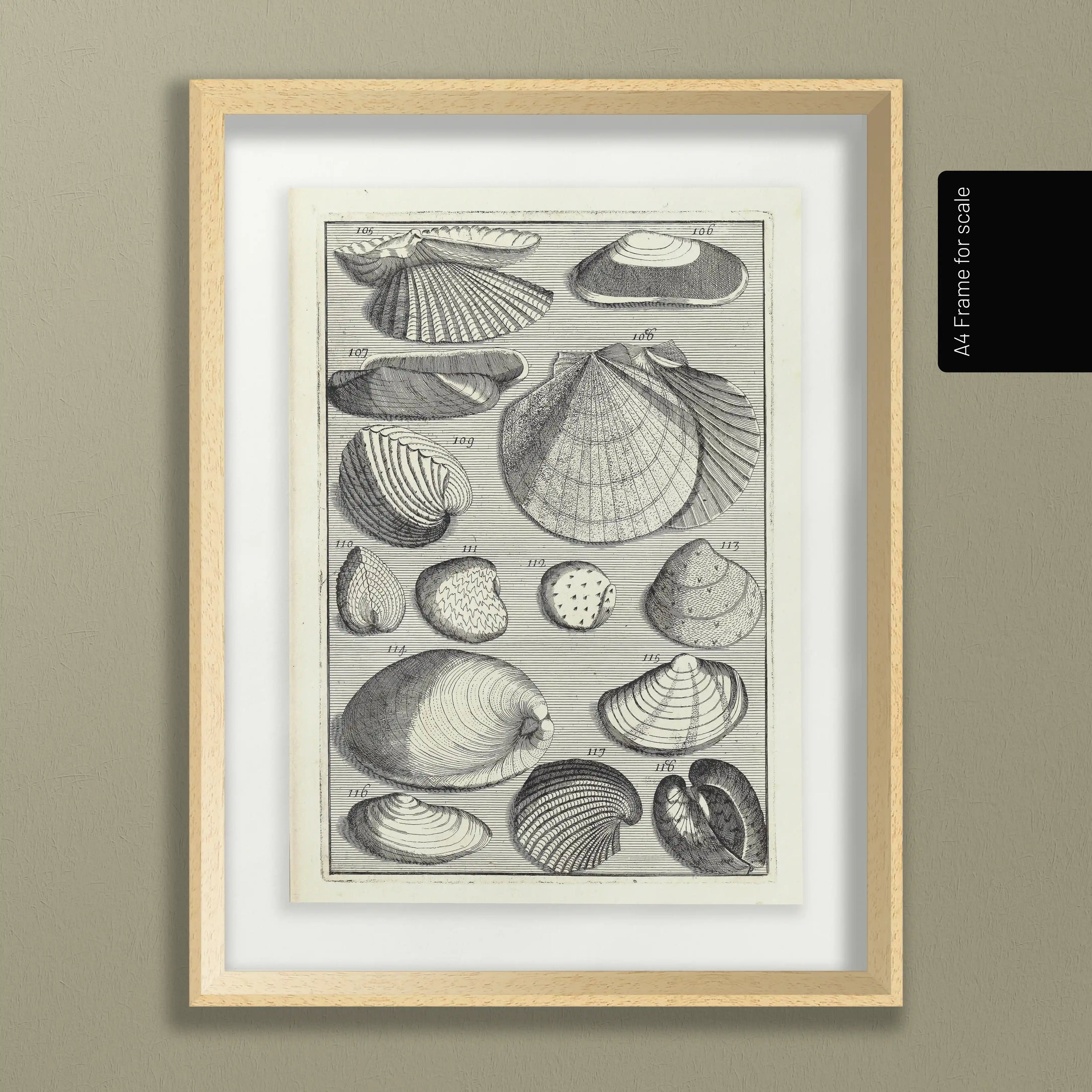 Archives: Plate No. 17
