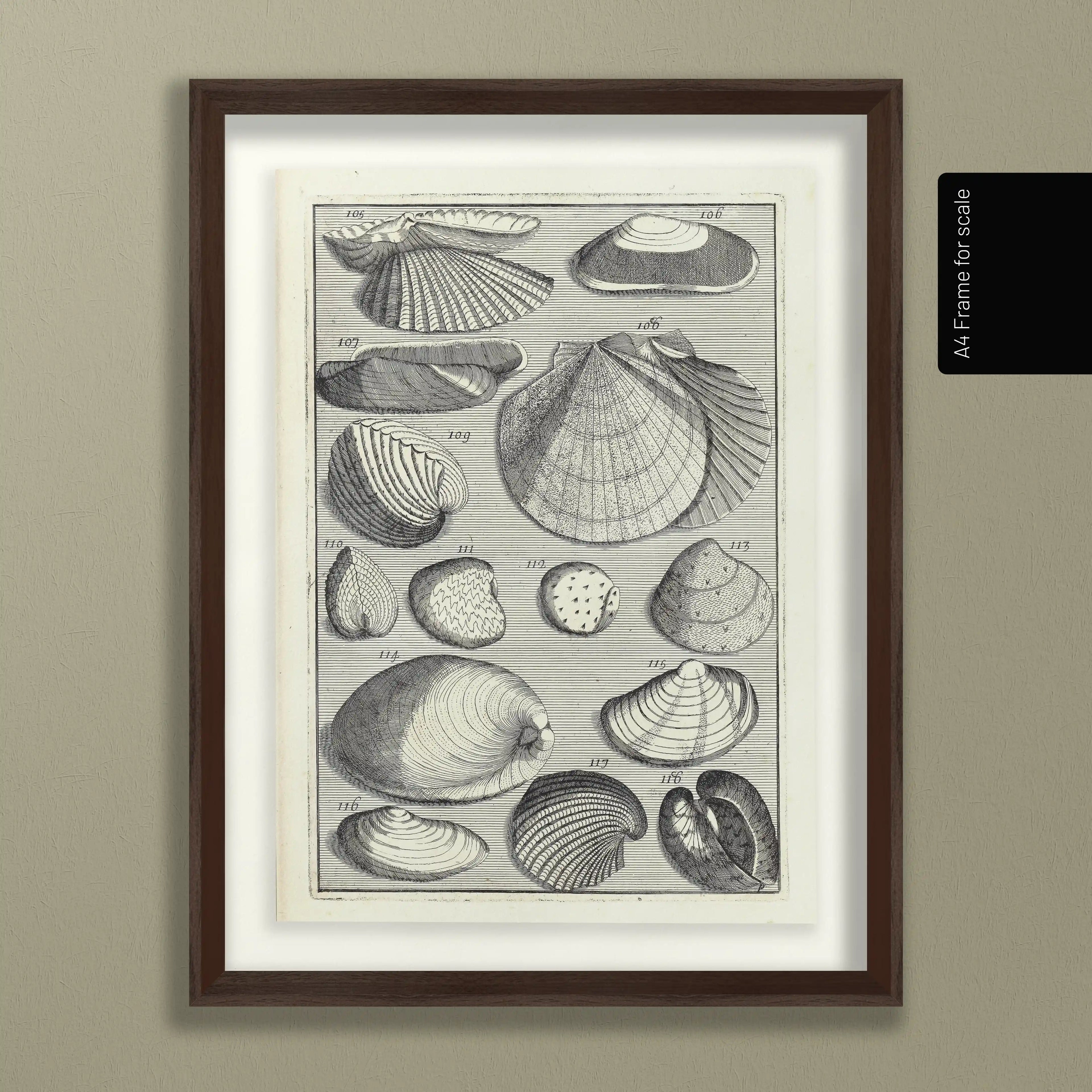 Archives: Plate No. 17