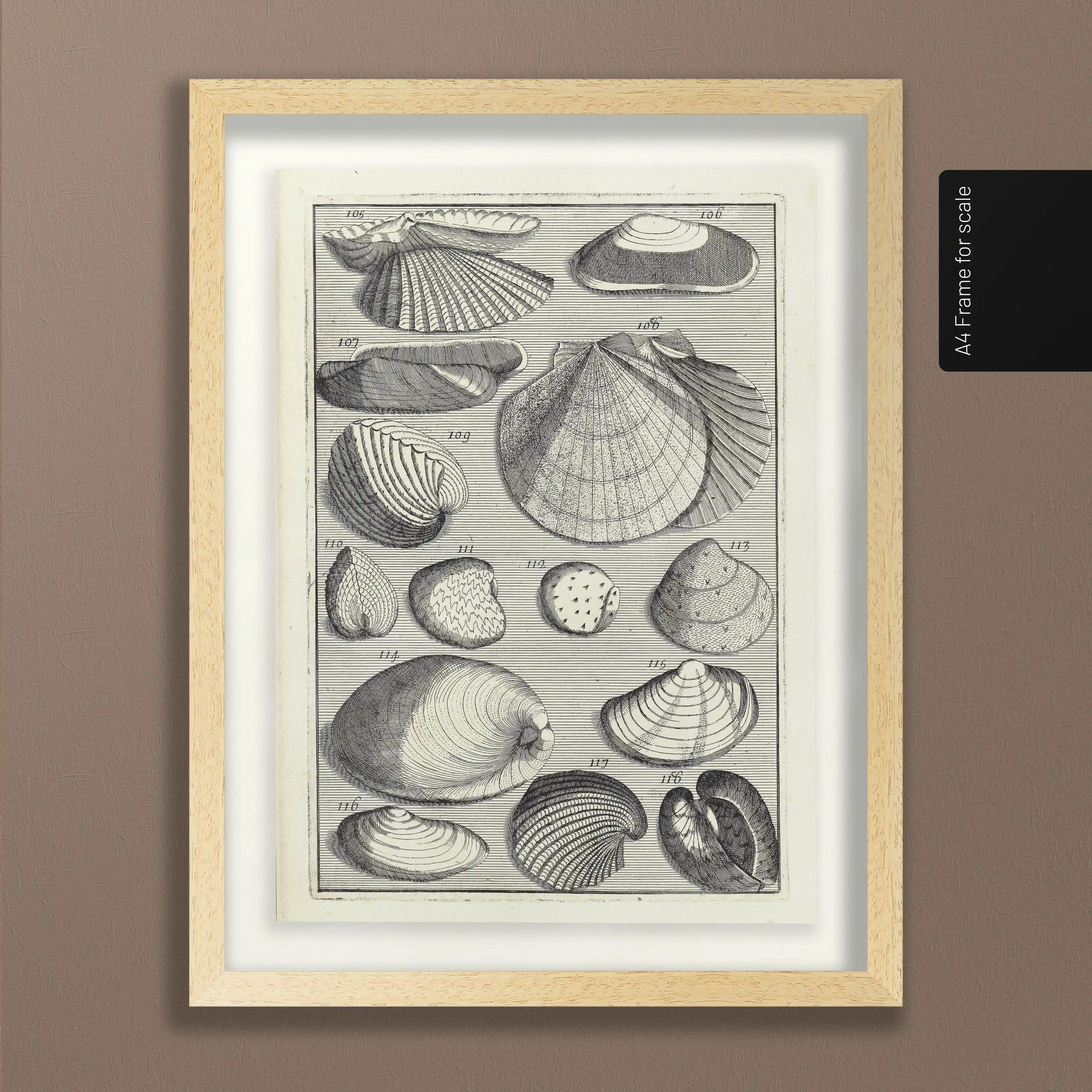 Archives: Plate No. 17