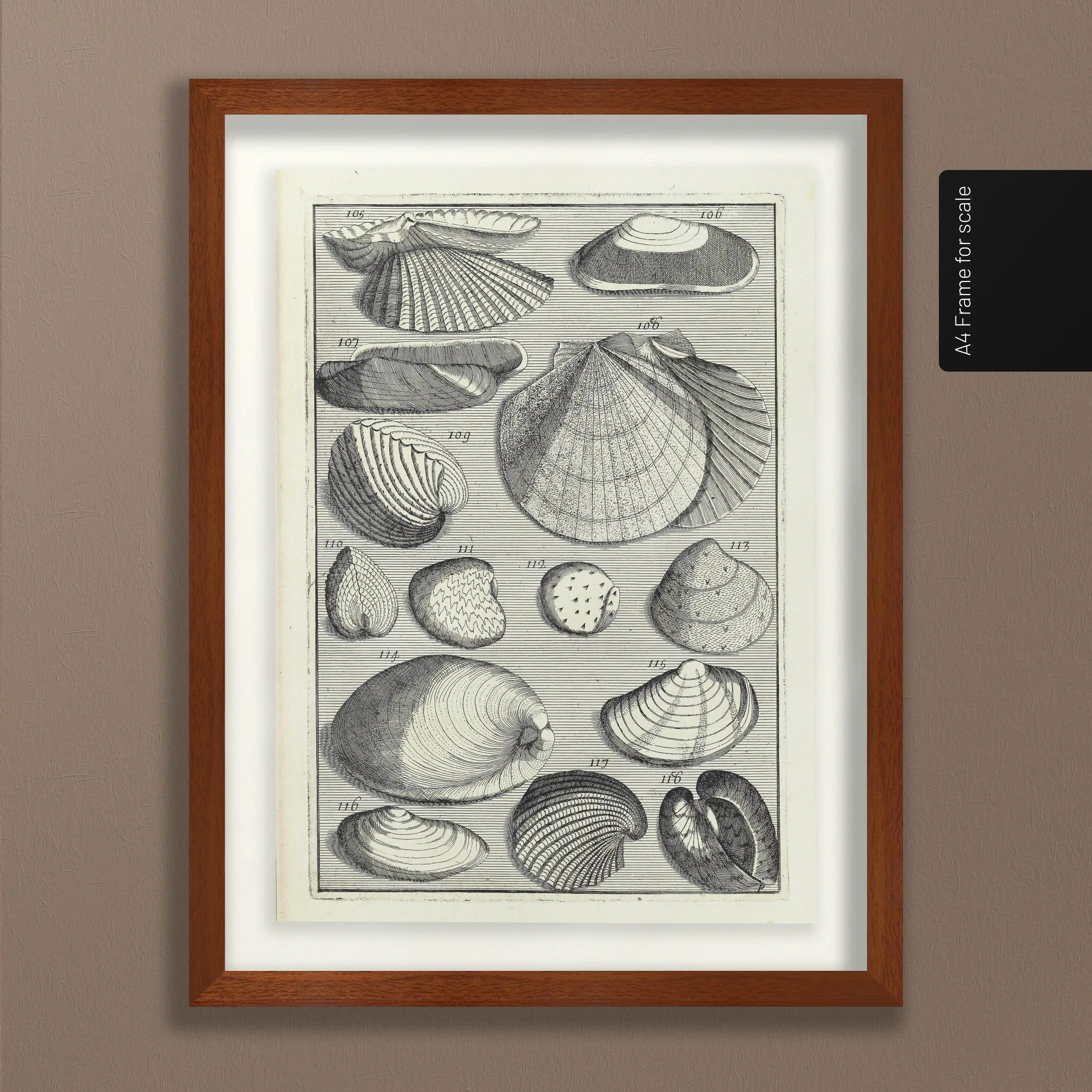 Archives: Plate No. 17