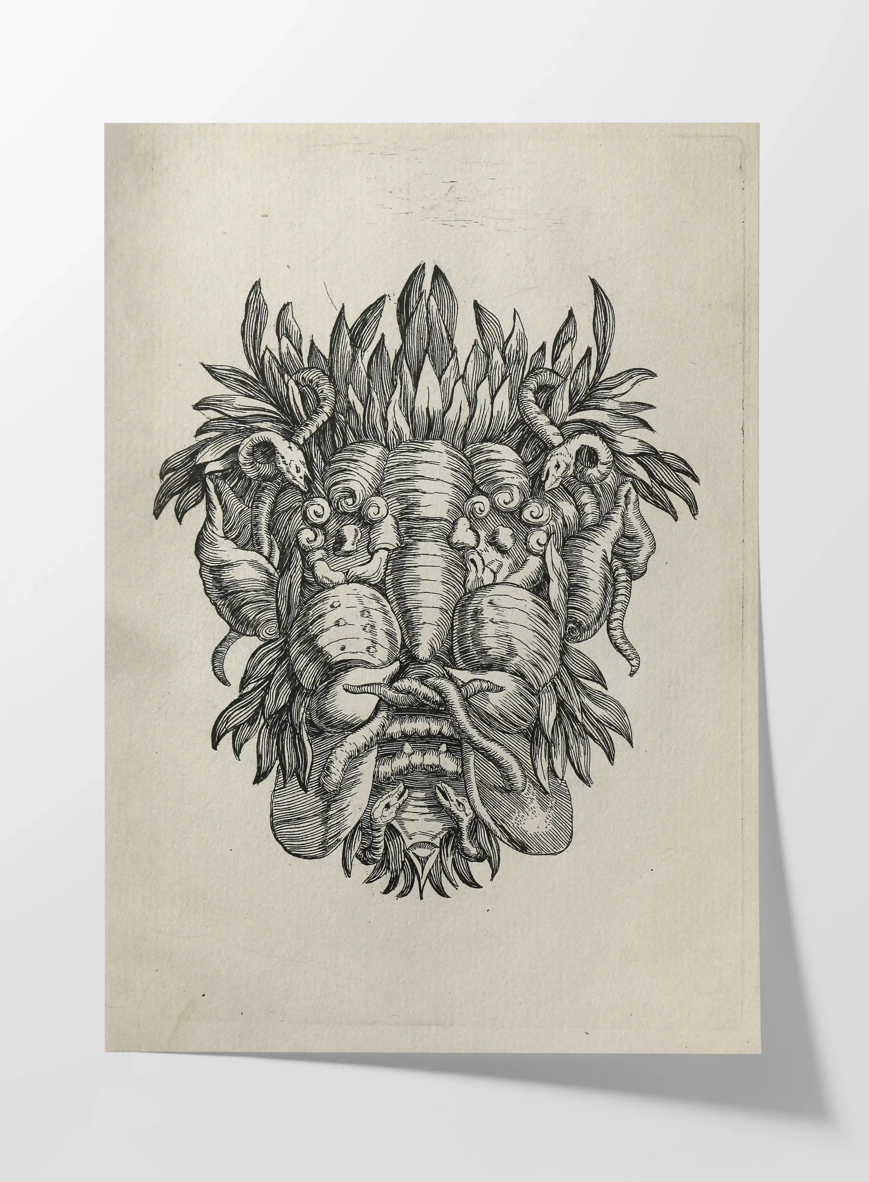 Archives: Plate No. 19
