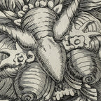 Archives: Plate No. 20