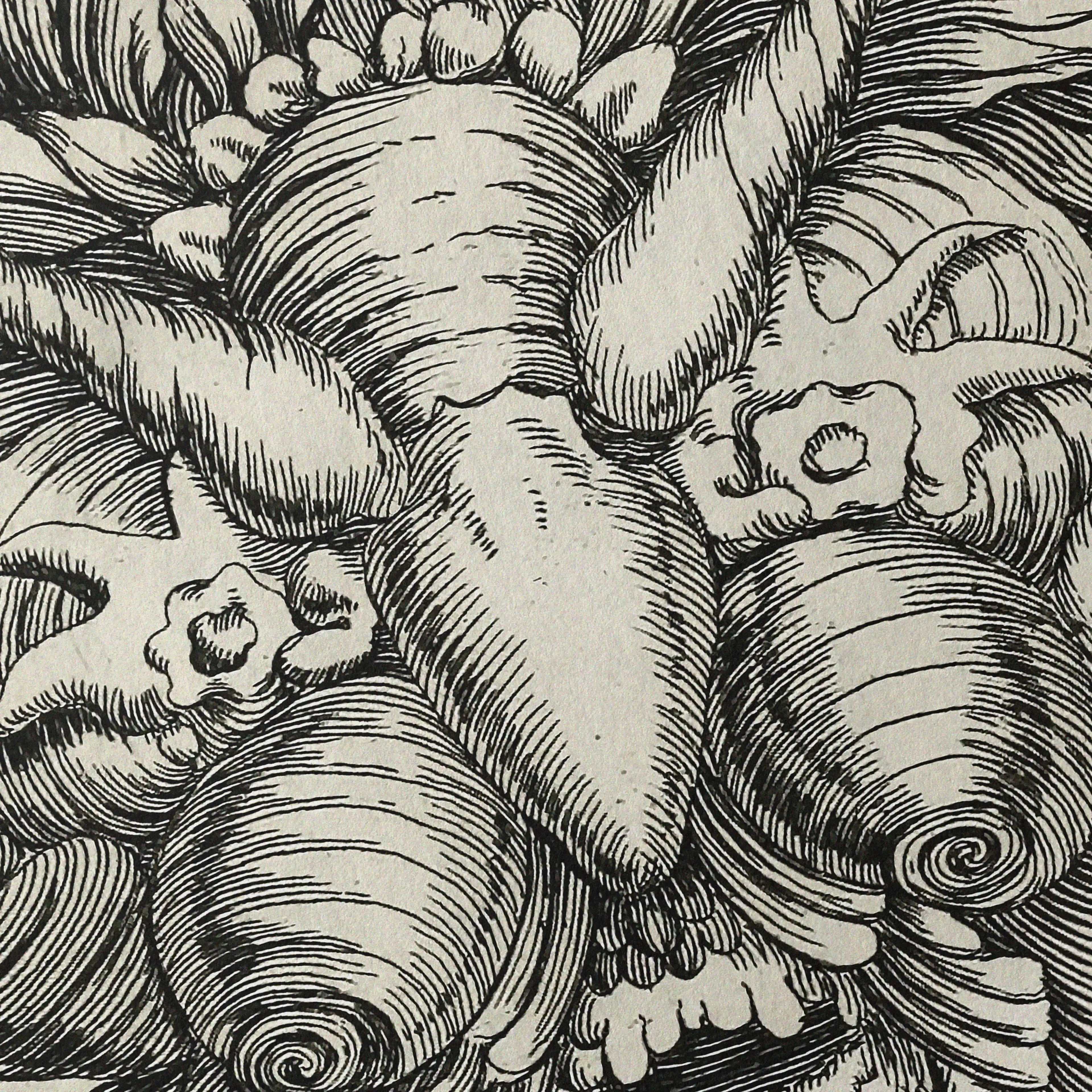 Archives: Plate No. 20