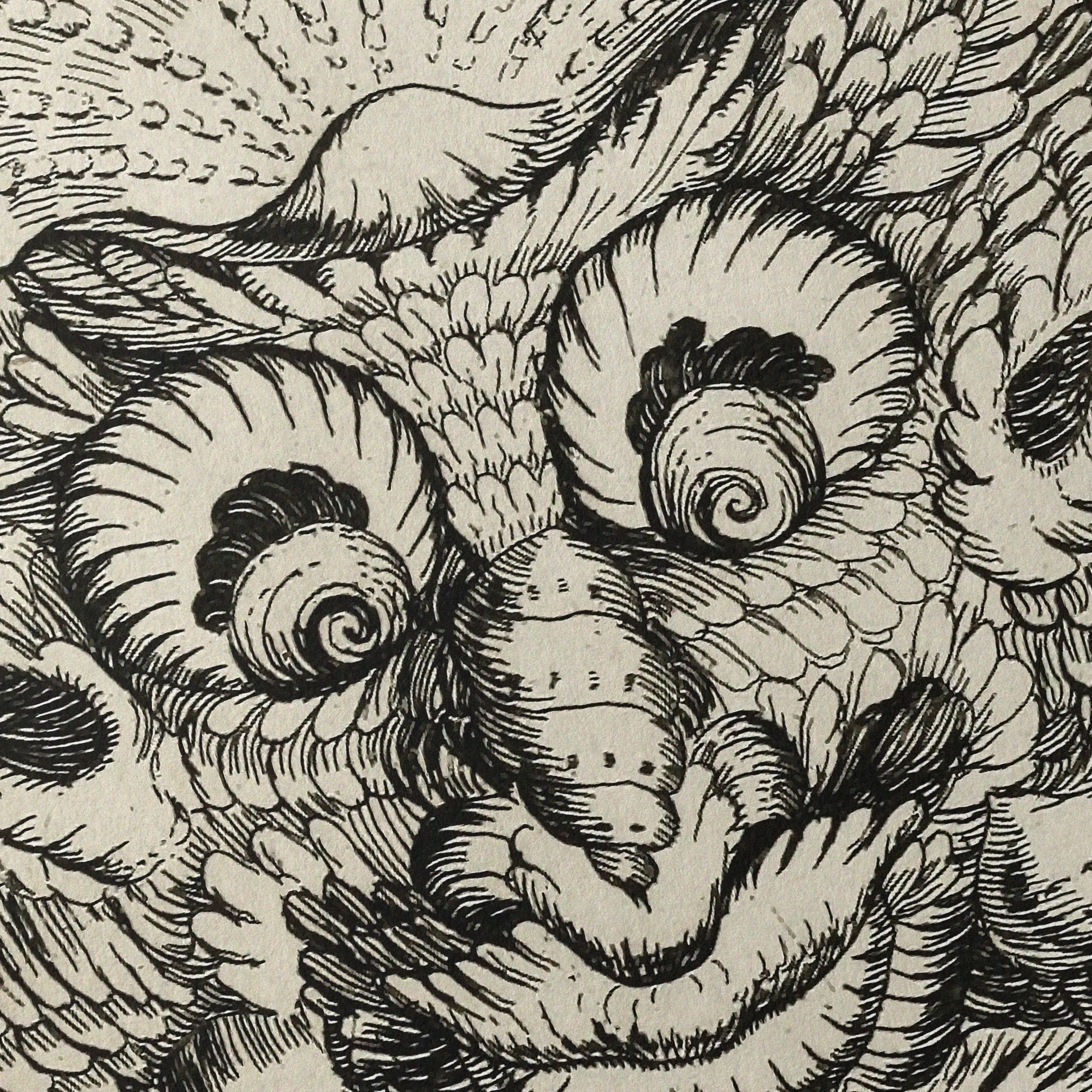 Archives: Plate No. 21