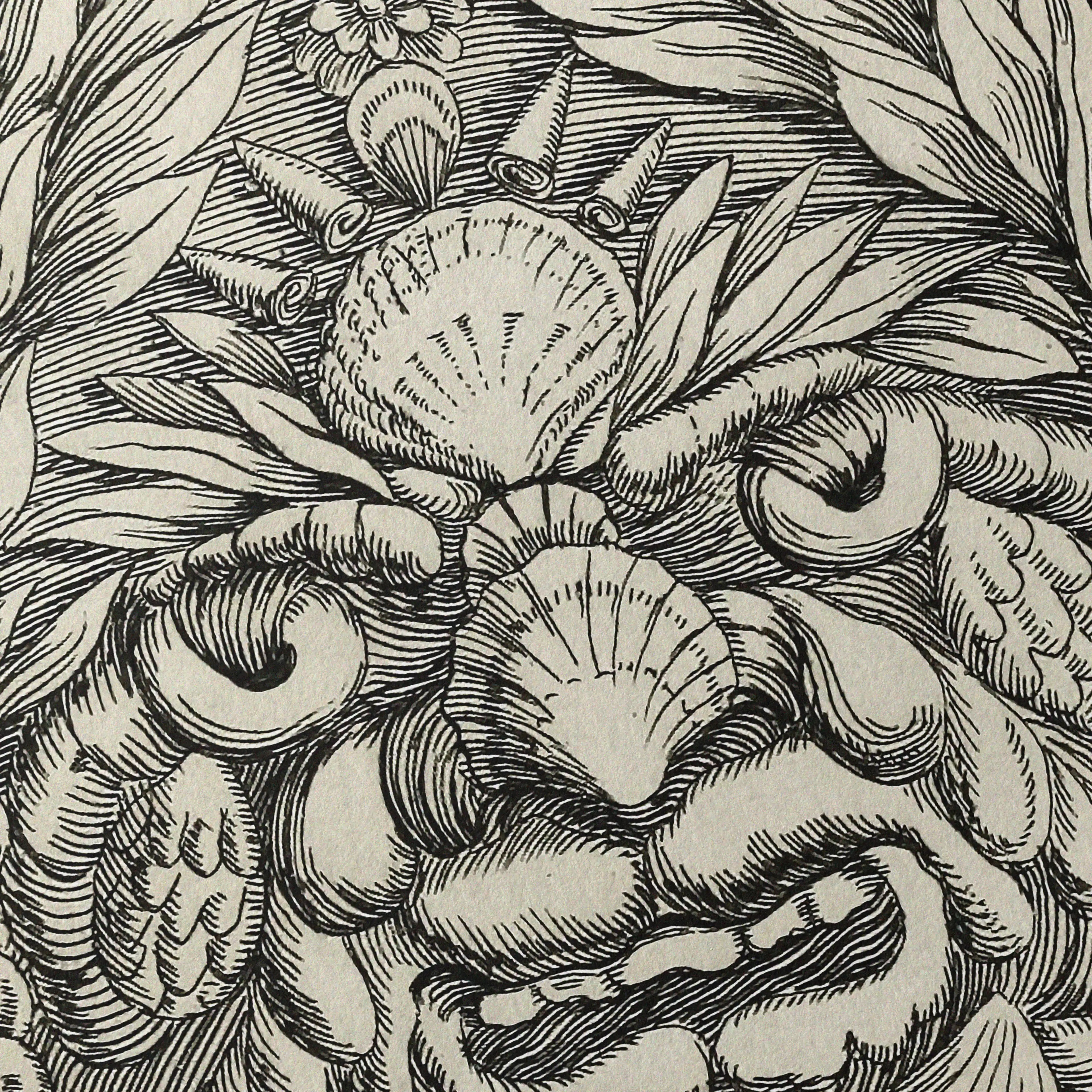 Archives: Plate No. 22