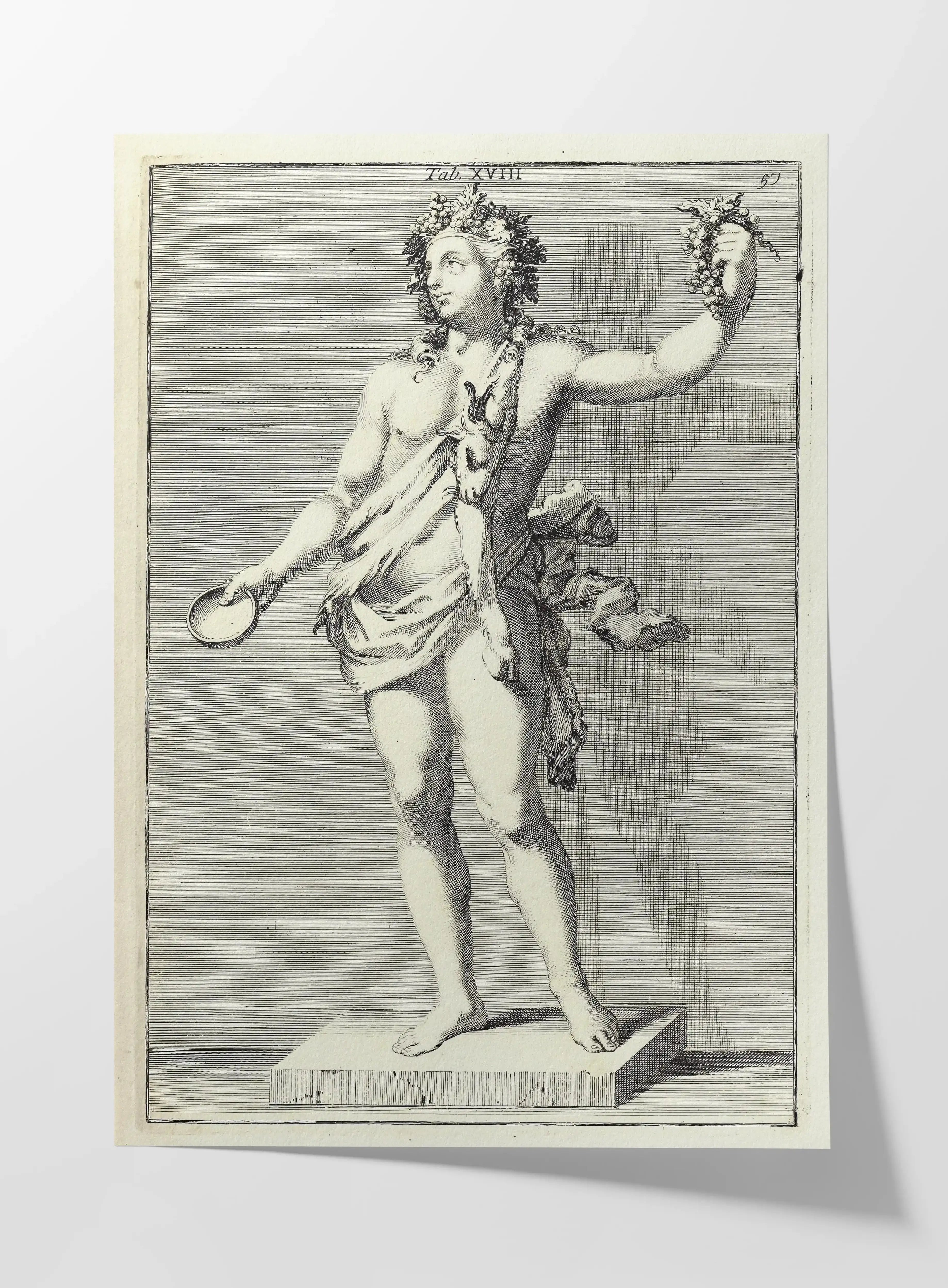 Archives: Plate No. 23