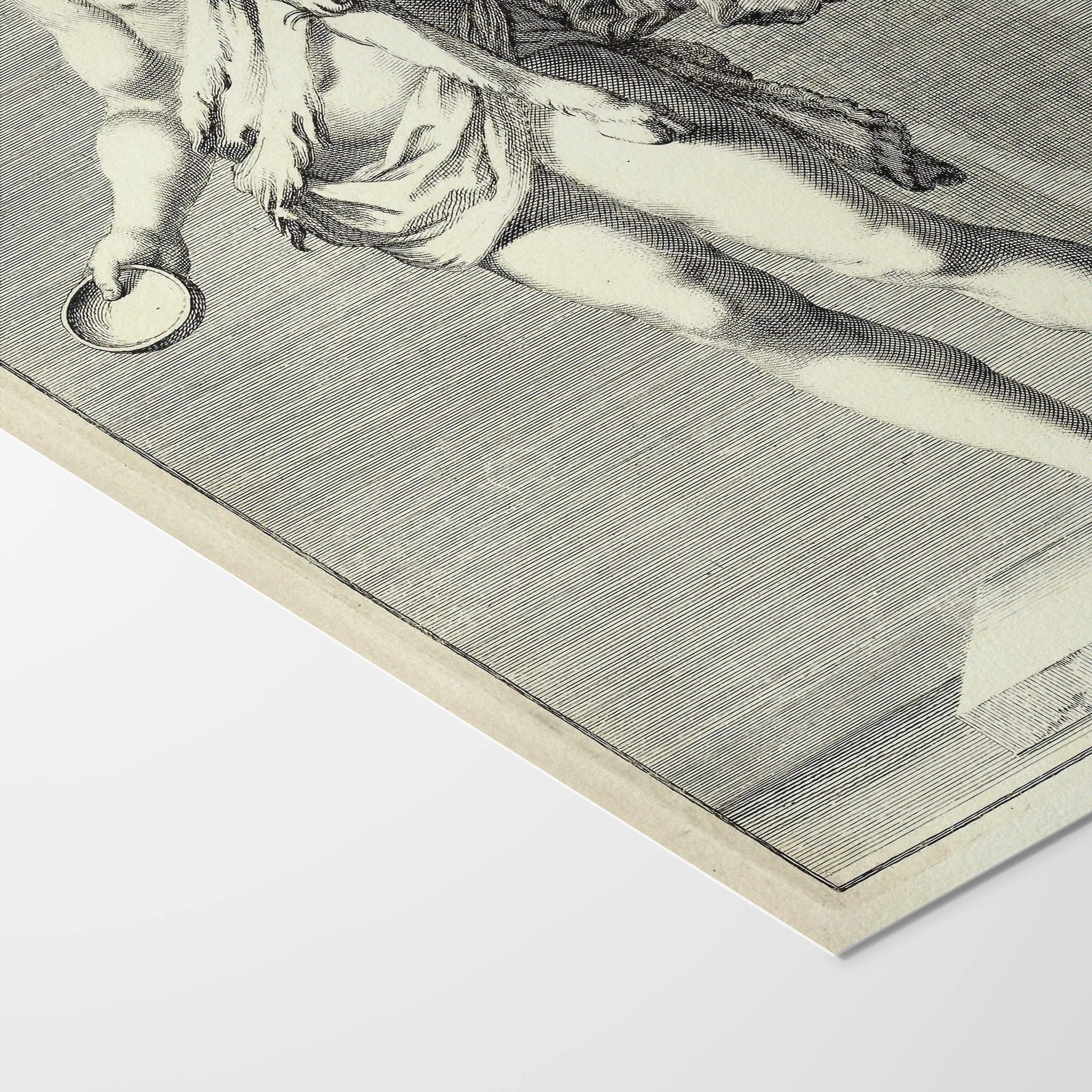 Archives: Plate No. 23