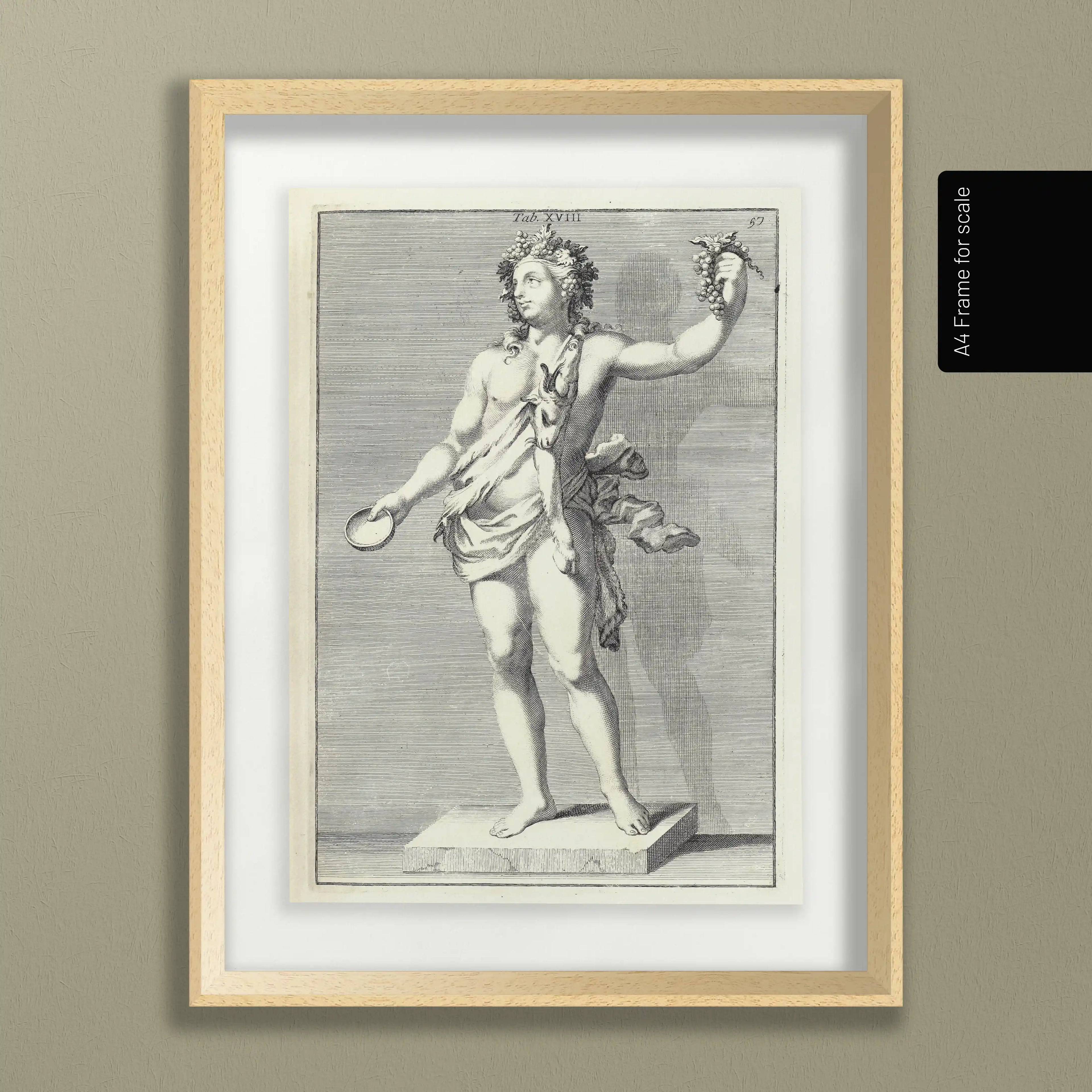 Archives: Plate No. 23