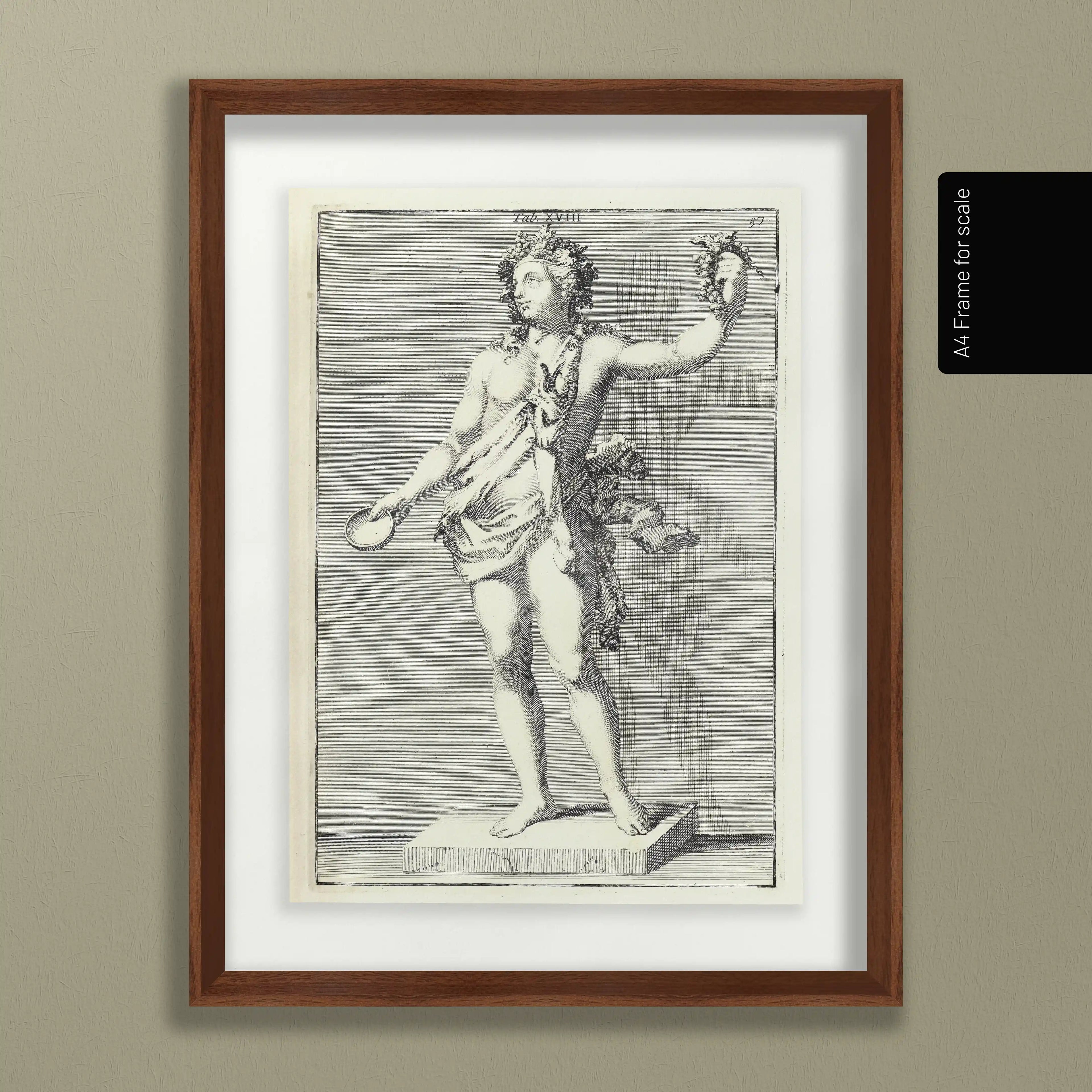 Archives: Plate No. 23