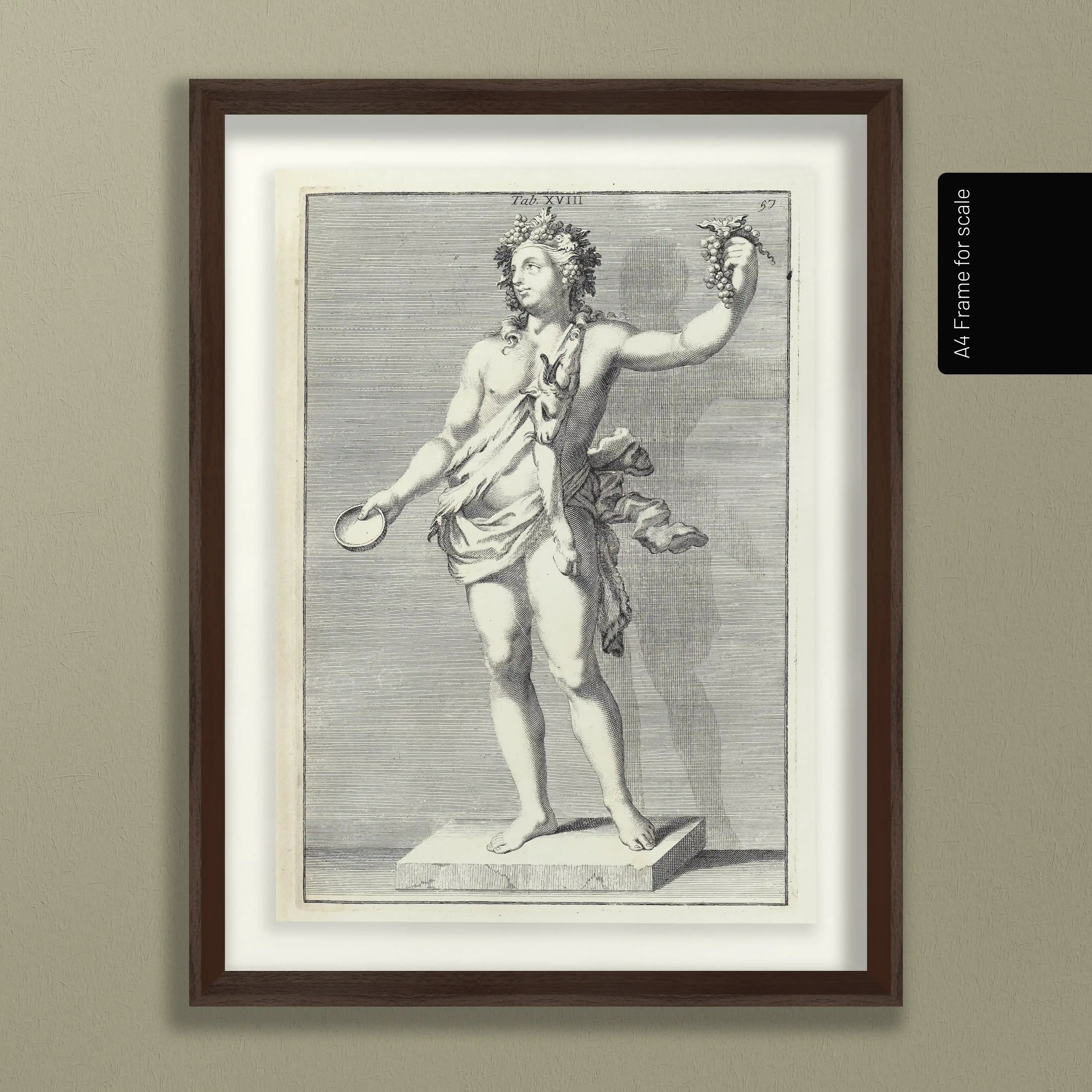 Archives: Plate No. 23