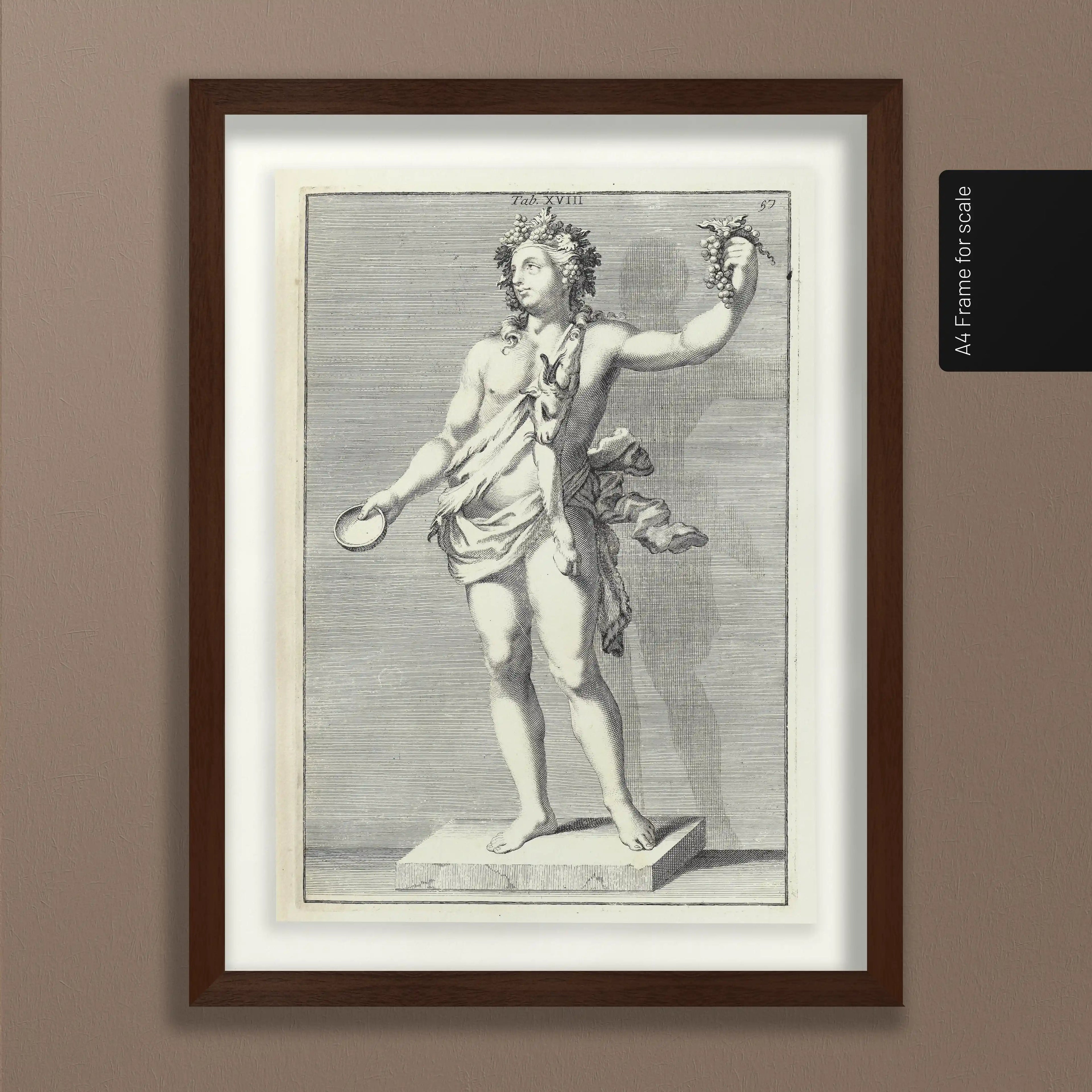 Archives: Plate No. 23