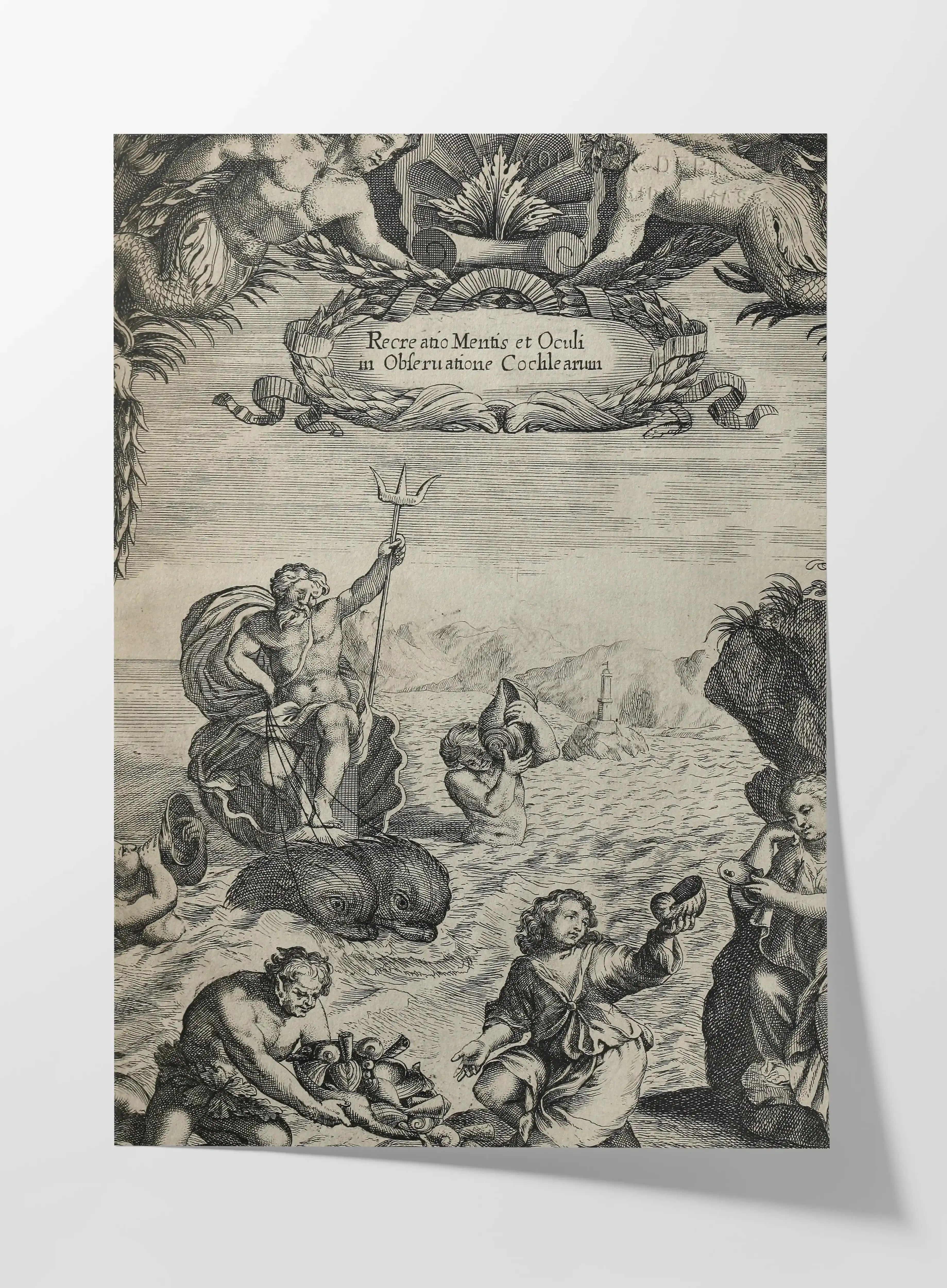 Archives: Plate No. 24