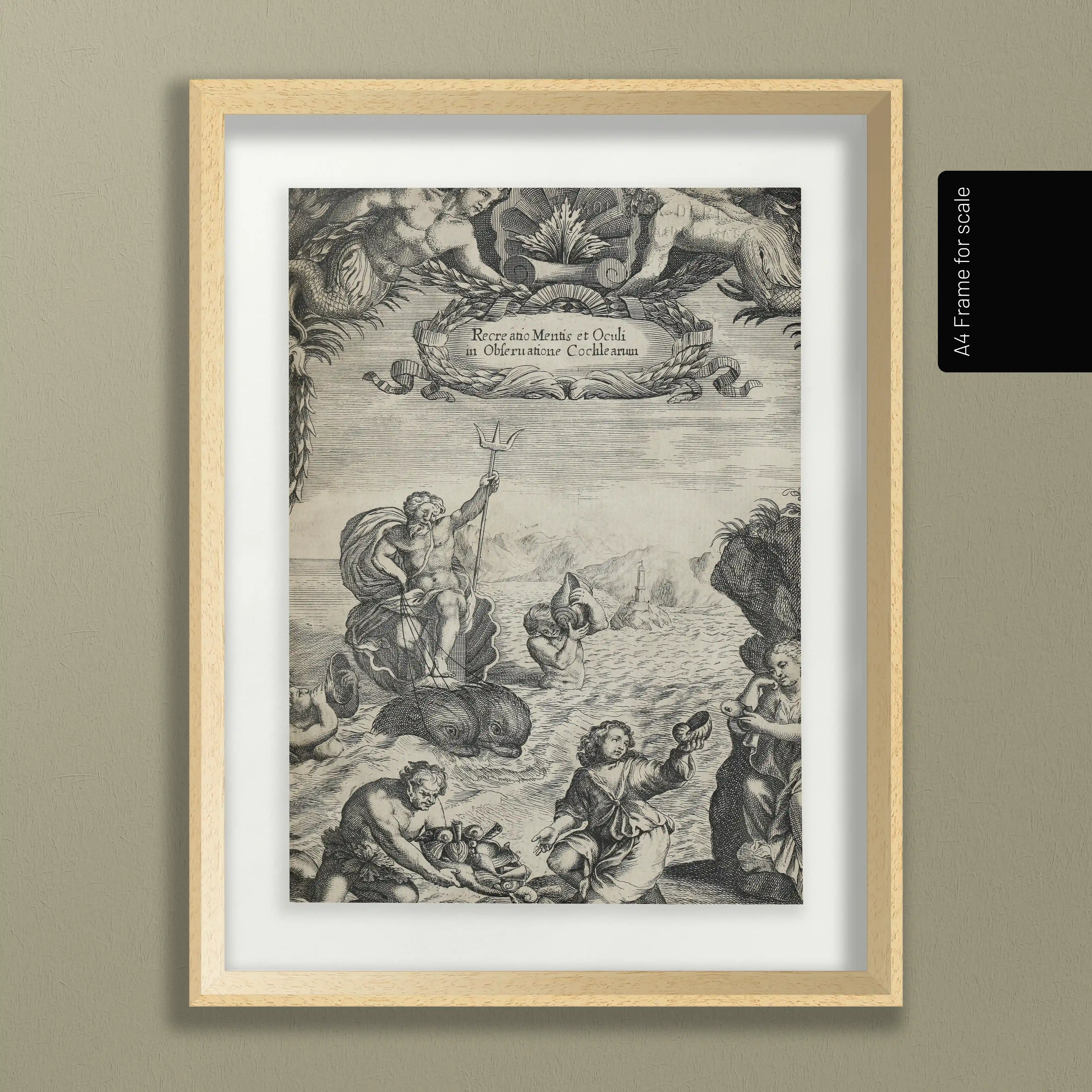 Archives: Plate No. 24