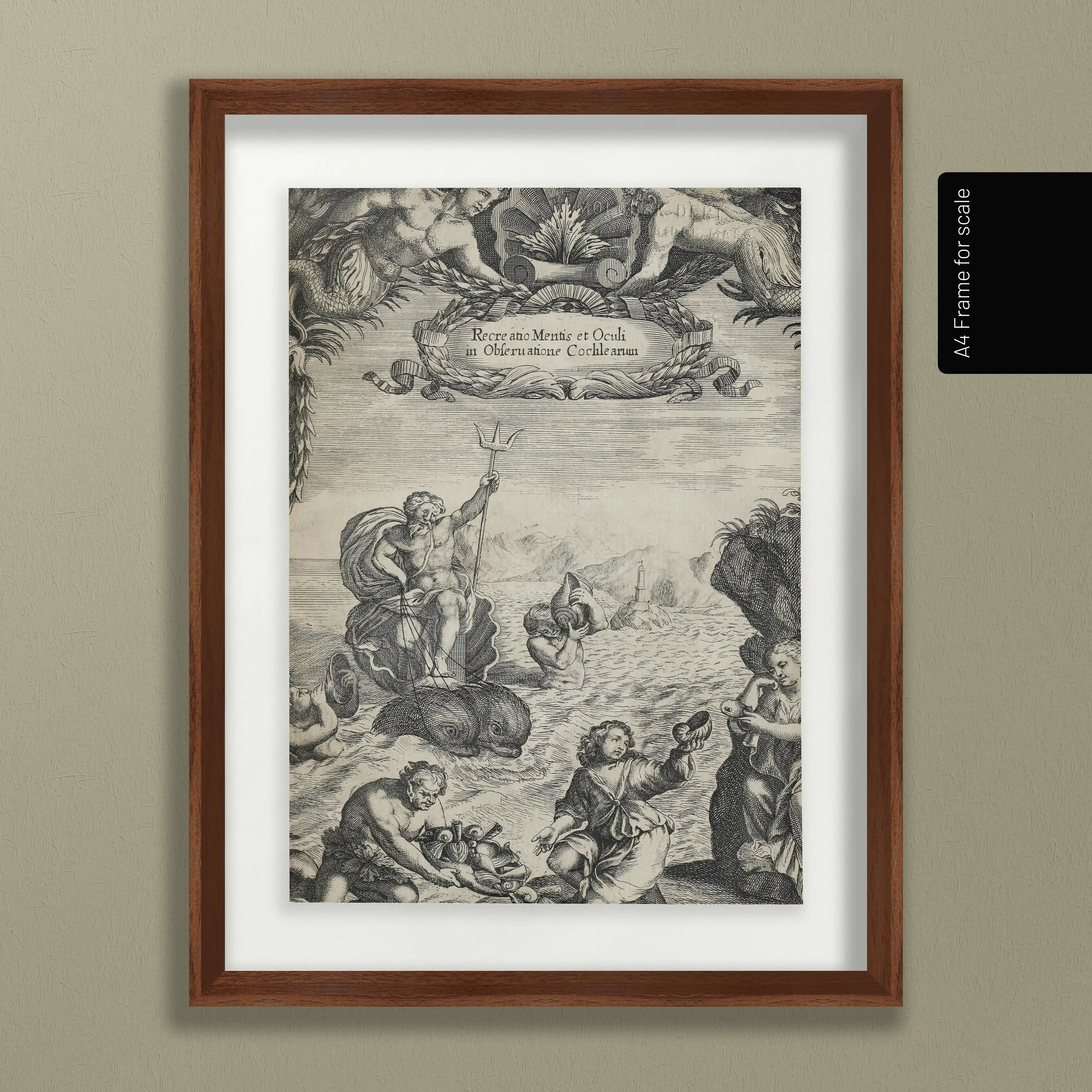 Archives: Plate No. 24