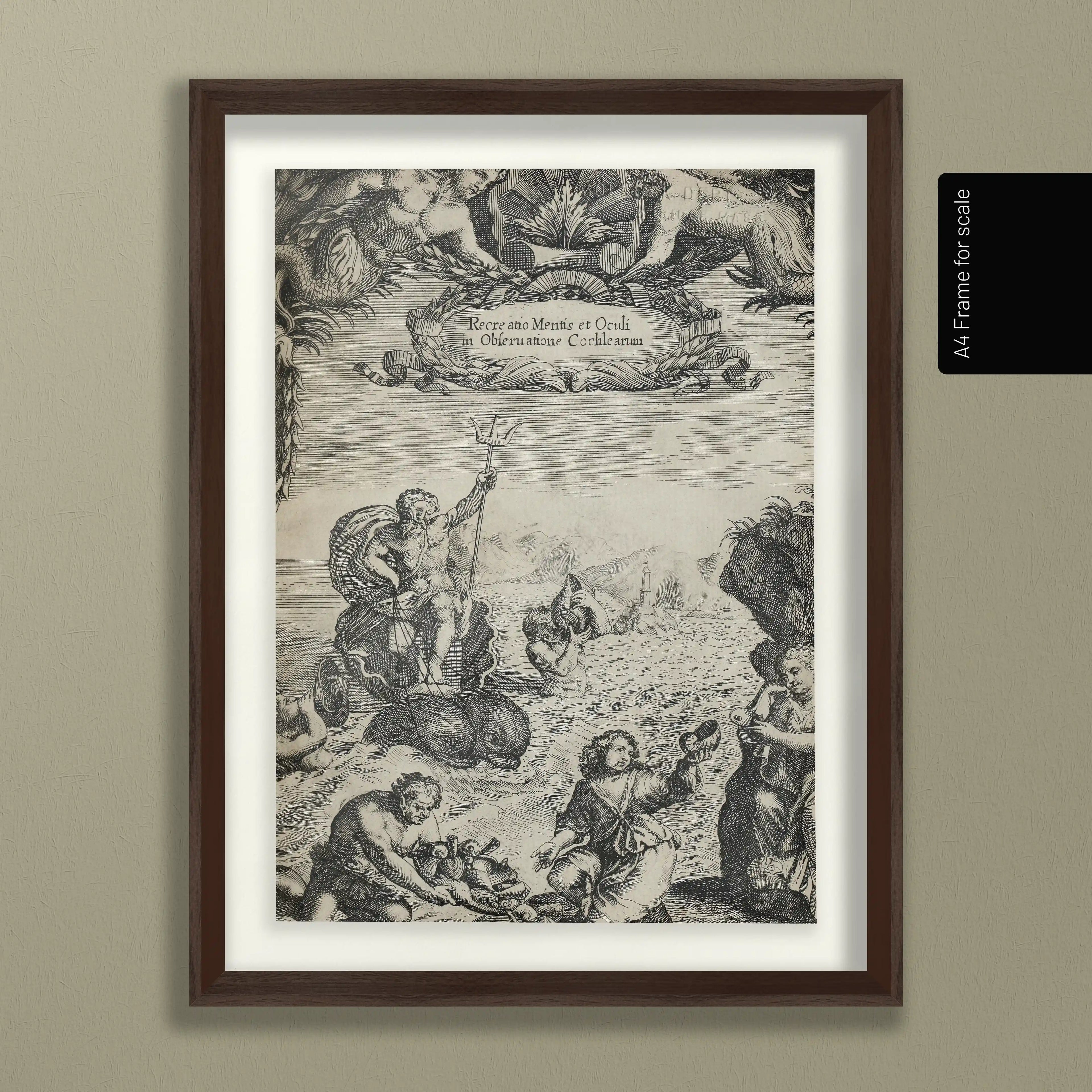 Archives: Plate No. 24