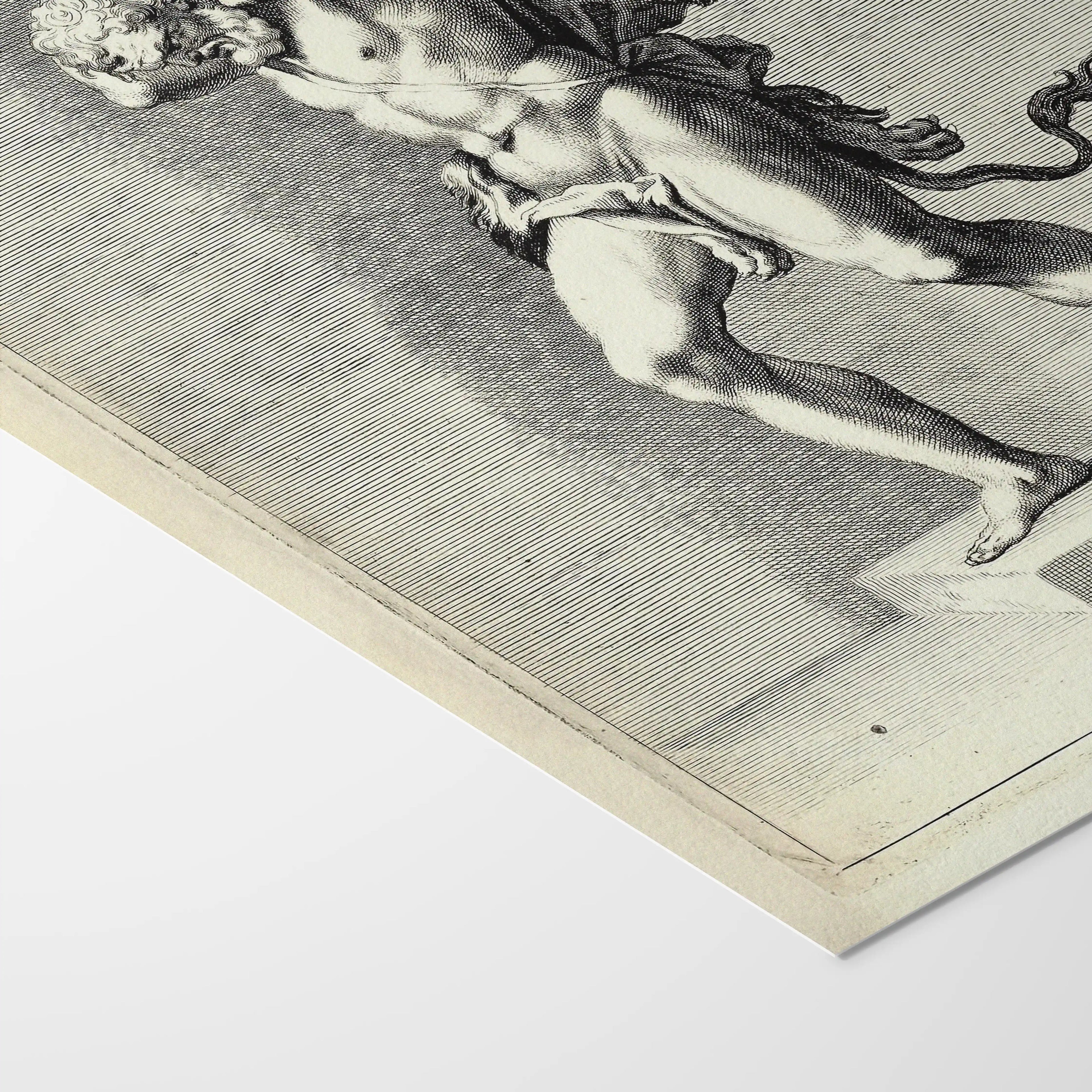 Archives: Plate No. 29