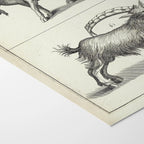 Archives: Plate No. 30