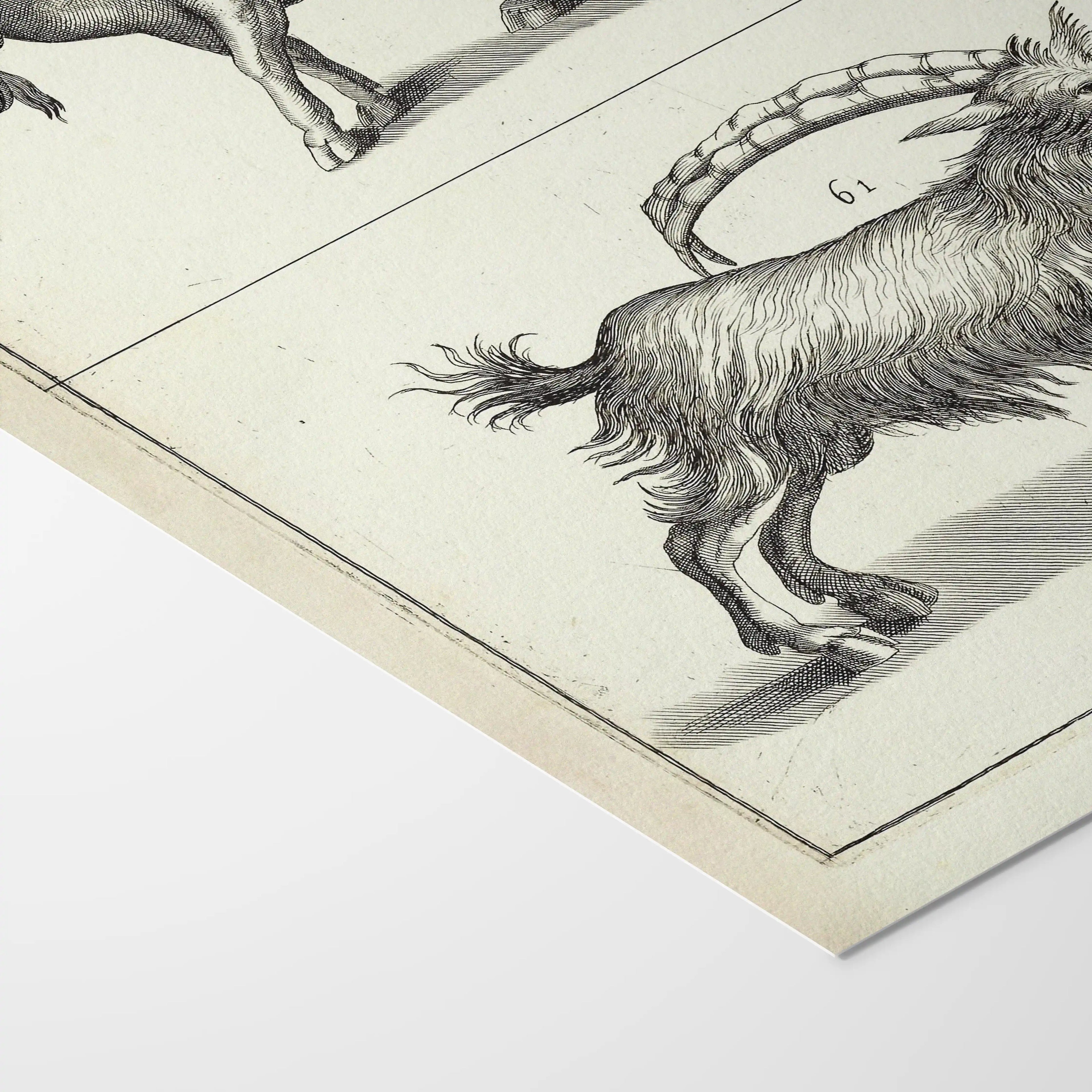 Archives: Plate No. 30