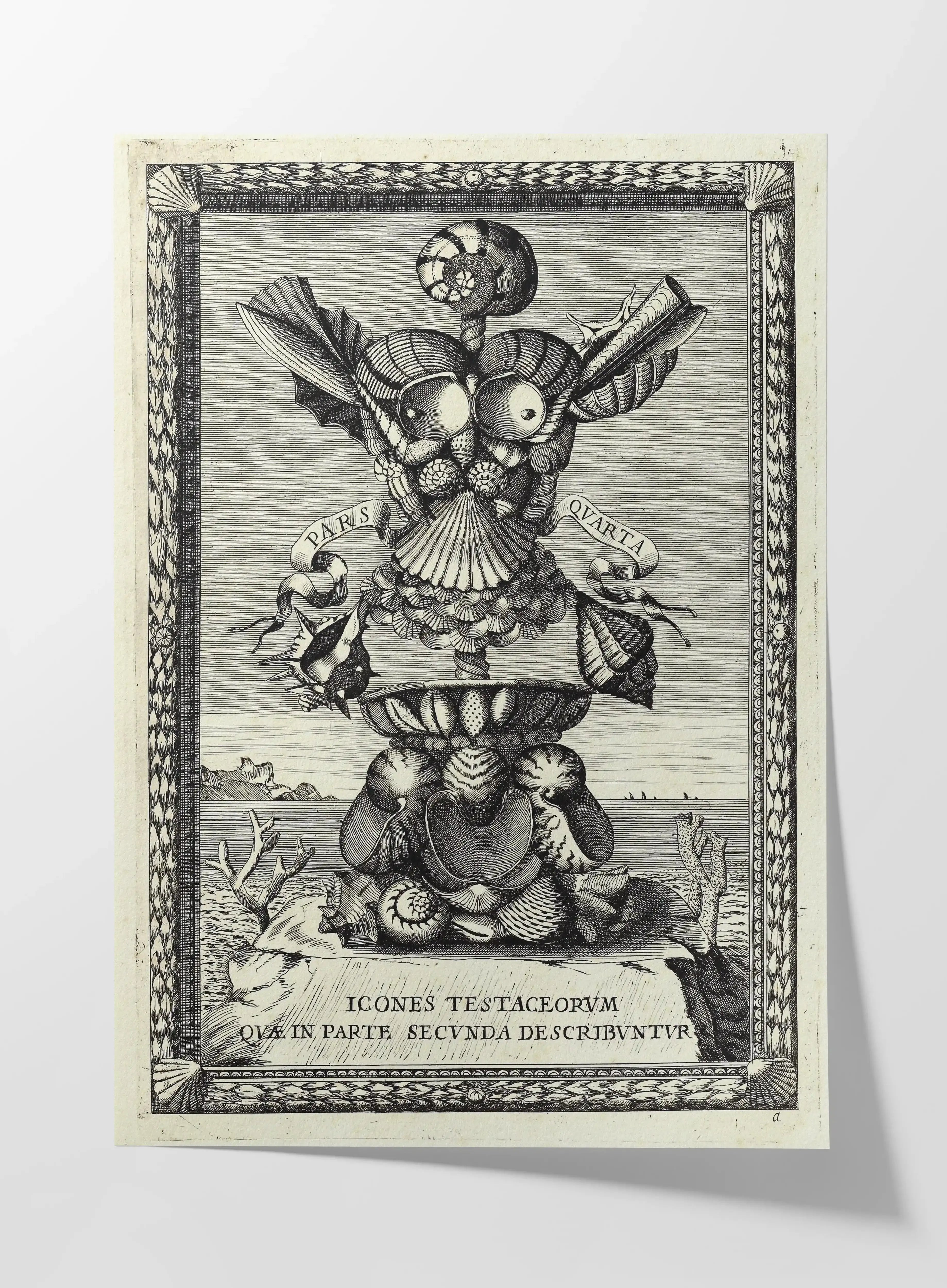 Archives: Plate No. 31