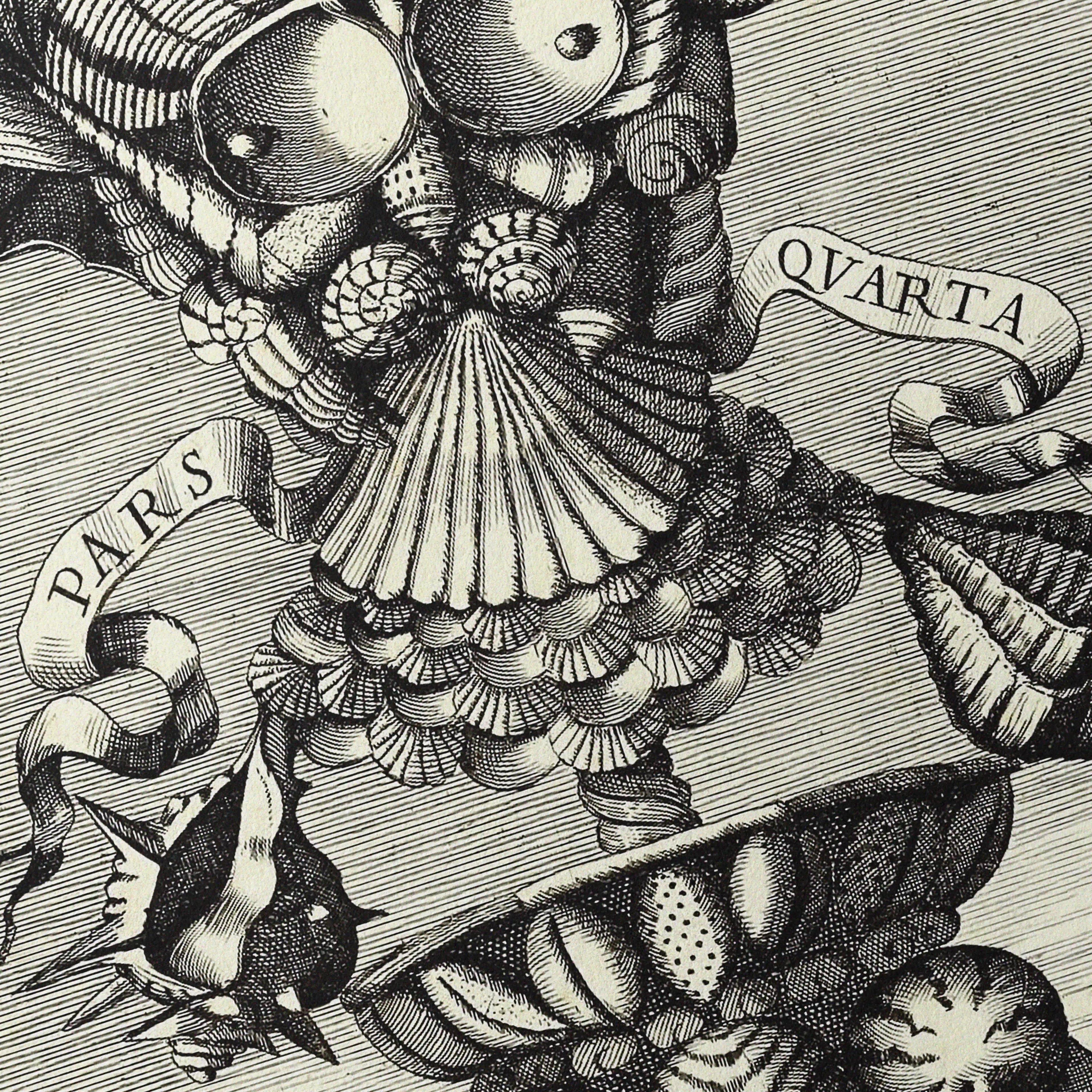 Archives: Plate No. 31