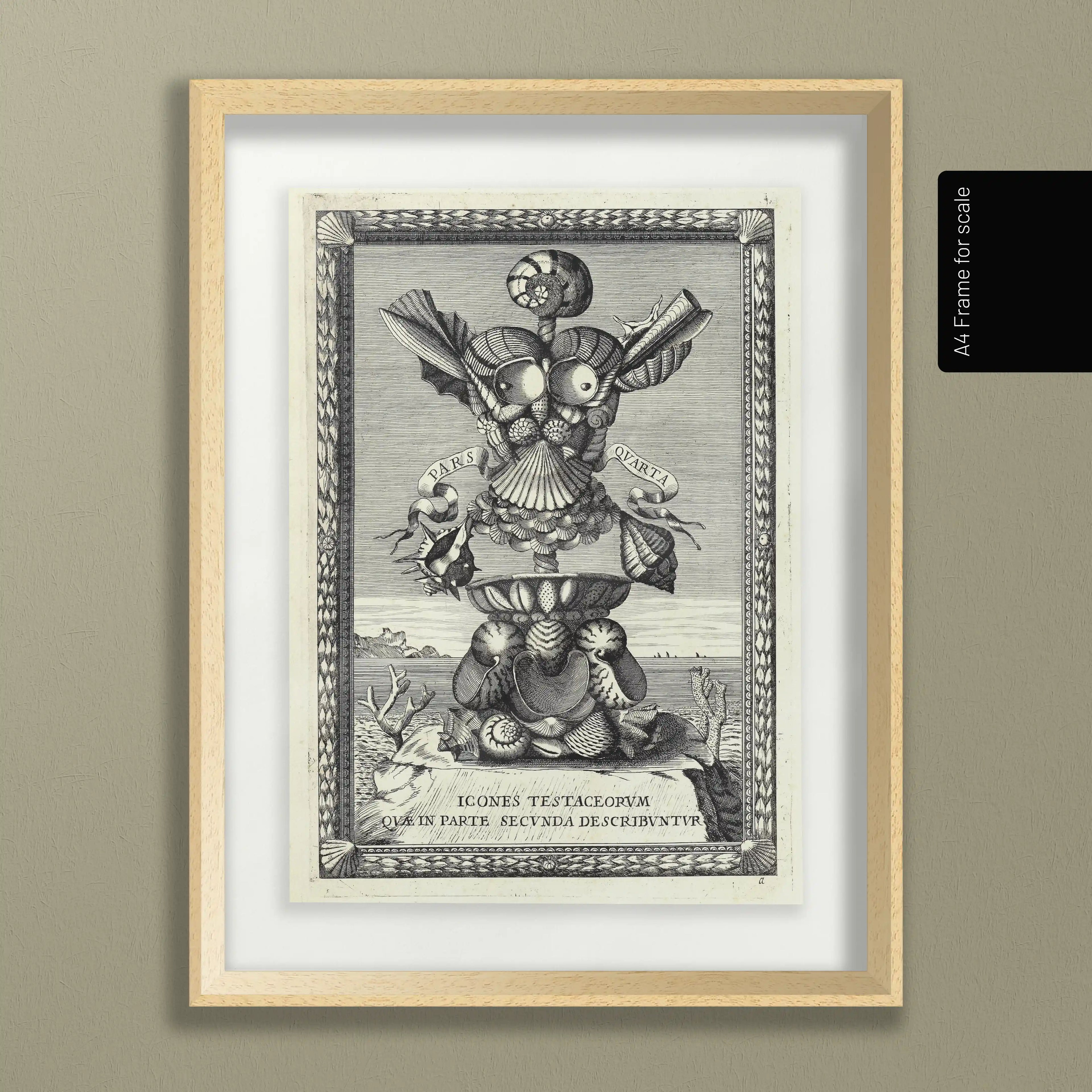 Archives: Plate No. 31
