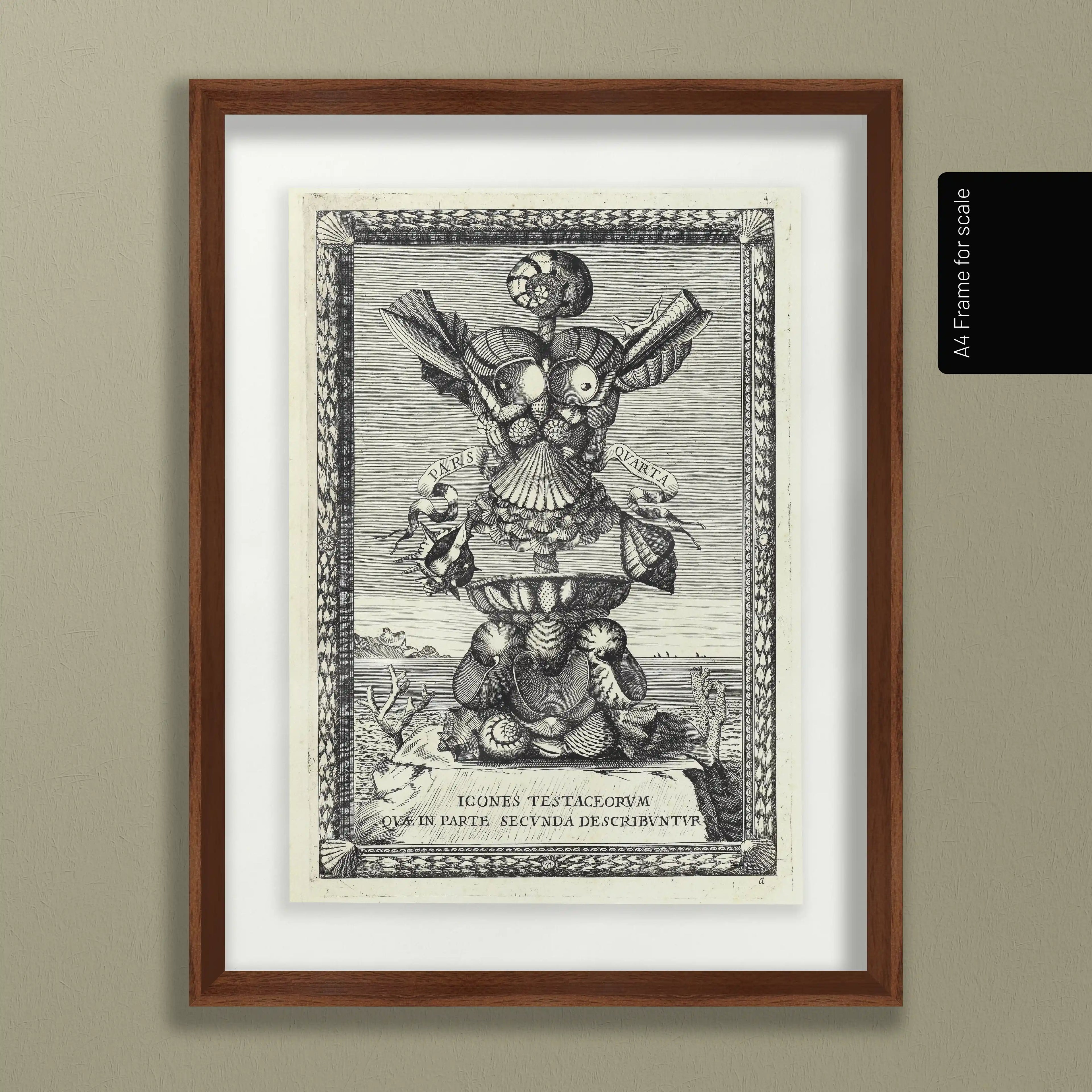 Archives: Plate No. 31