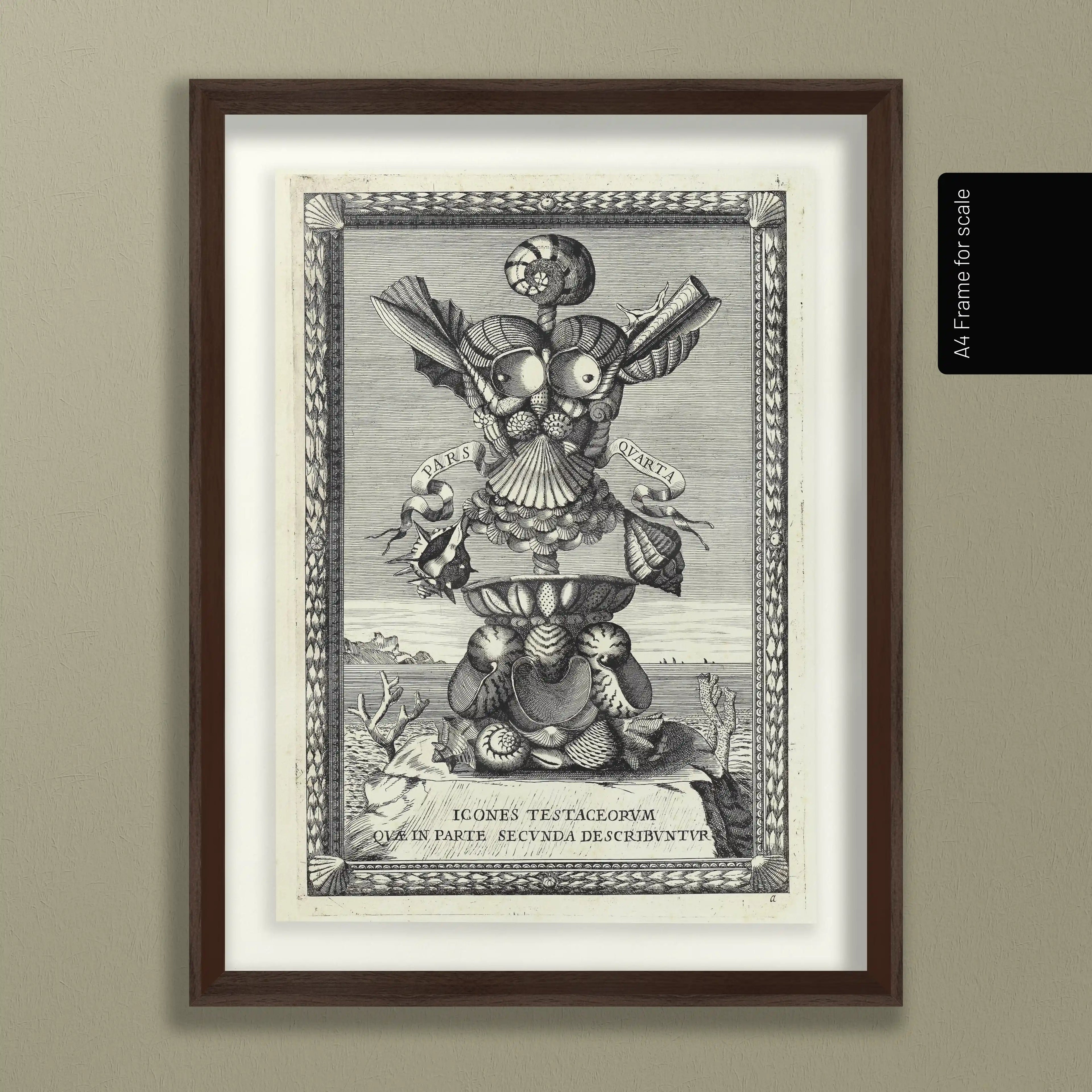 Archives: Plate No. 31