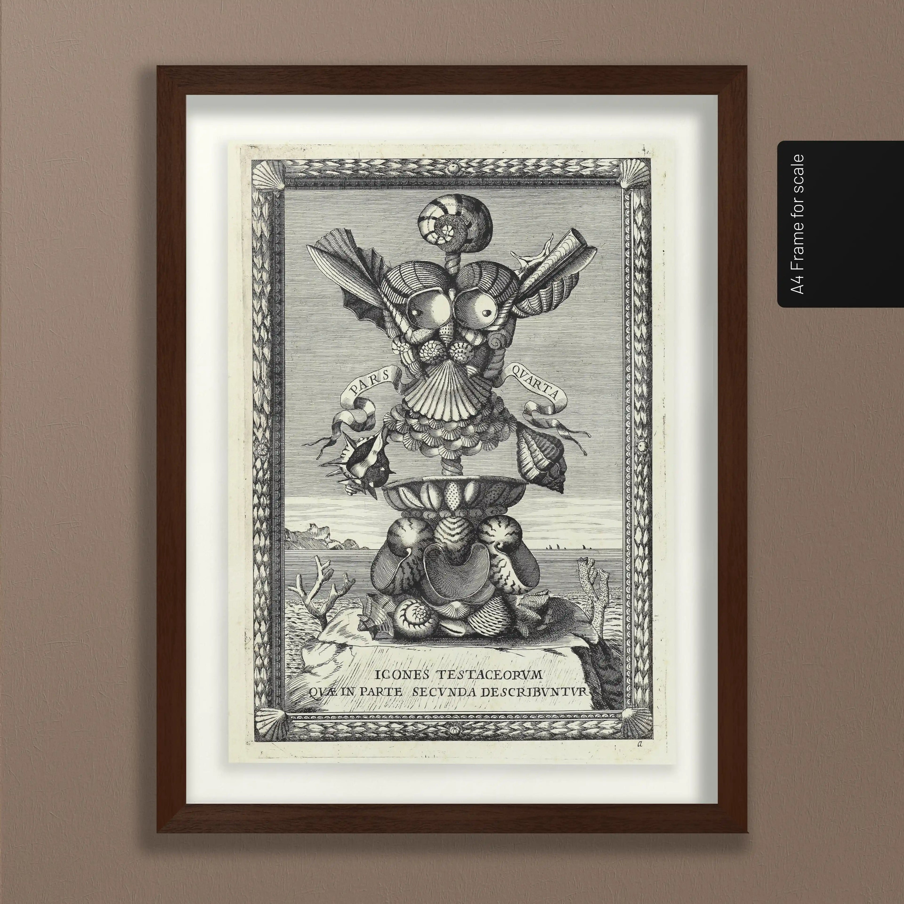 Archives: Plate No. 31