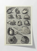 Archives: Plate No. 32
