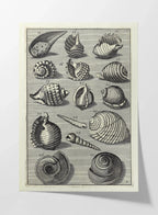 Archives: Plate No. 32