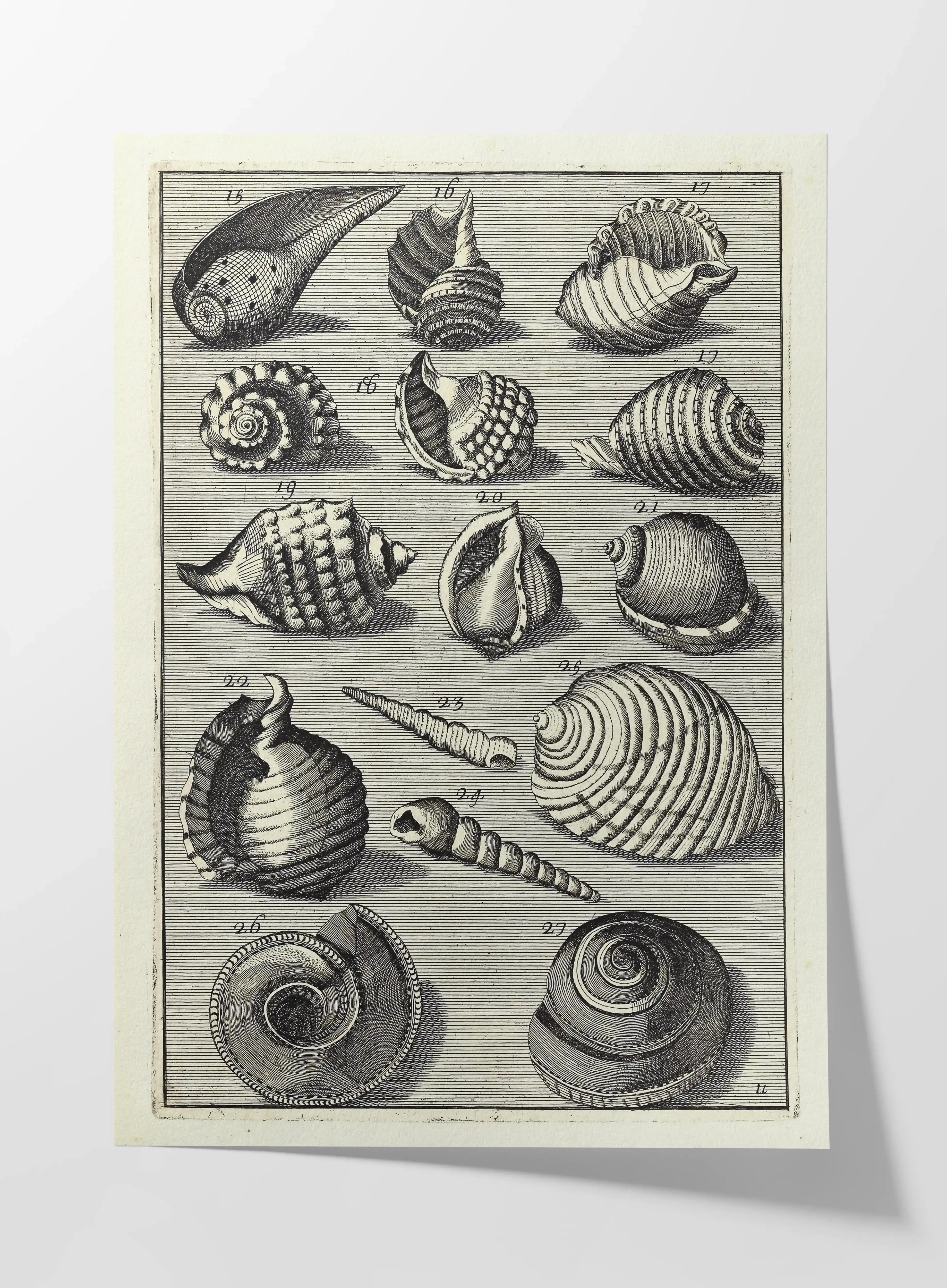 Archives: Plate No. 32