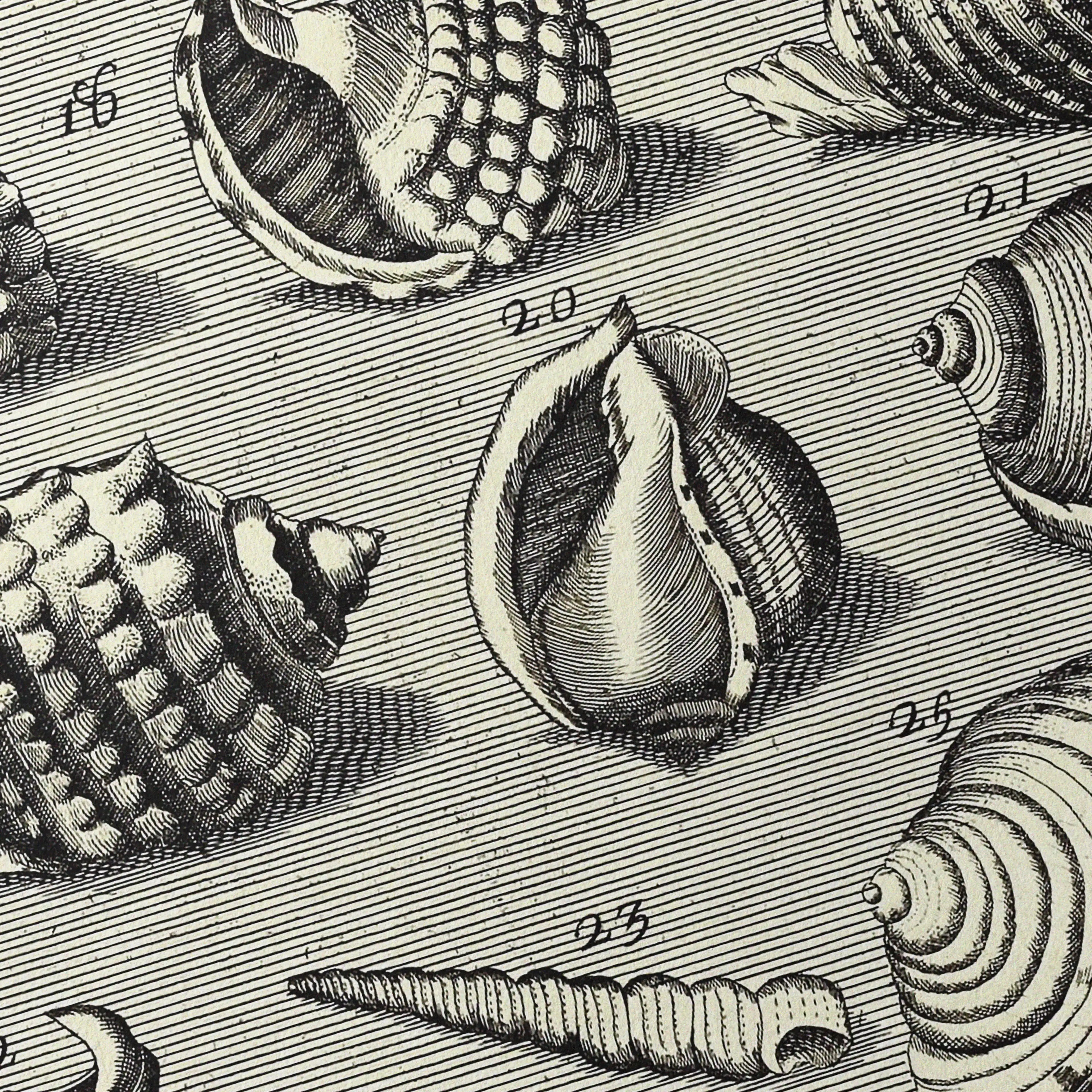 Archives: Plate No. 32