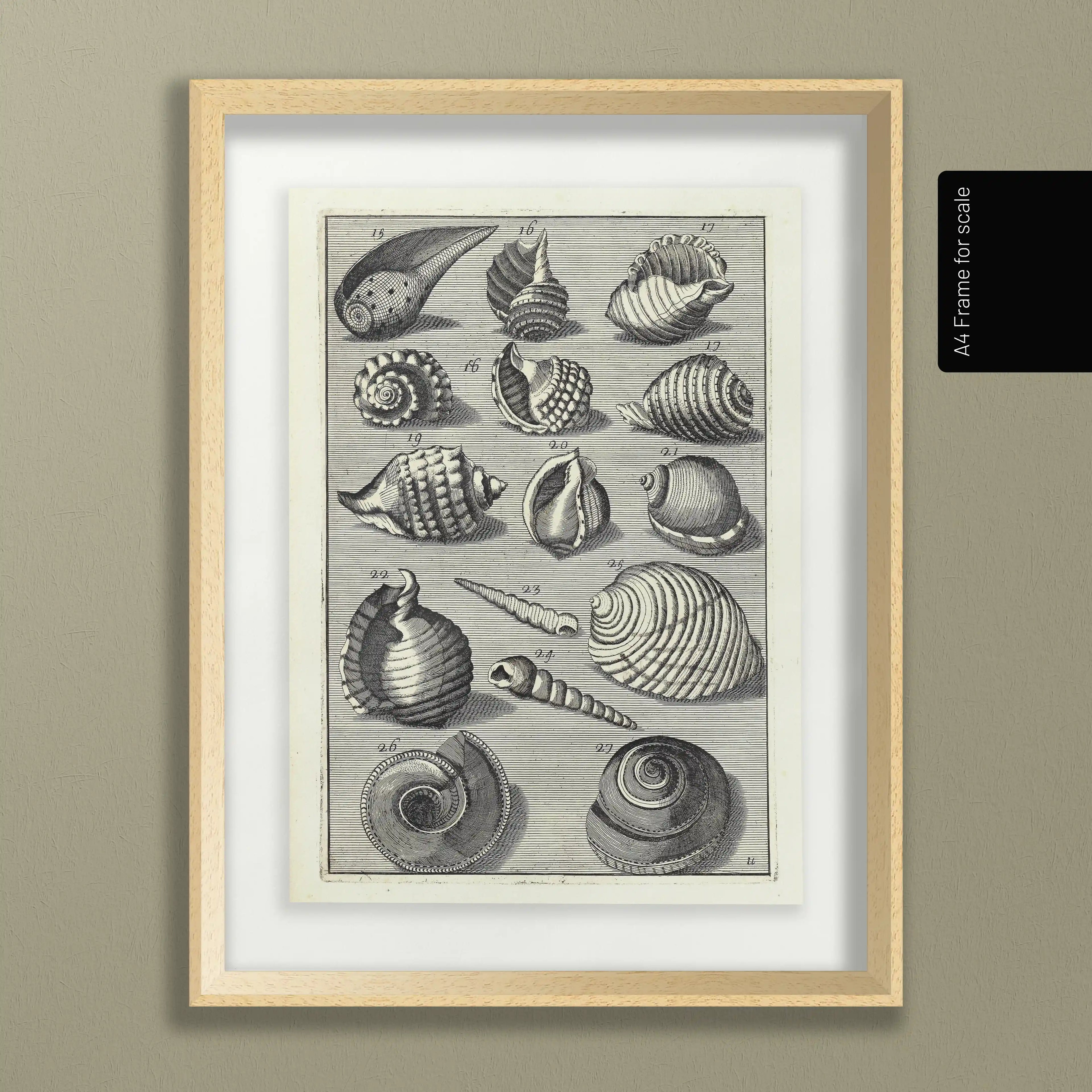 Archives: Plate No. 32