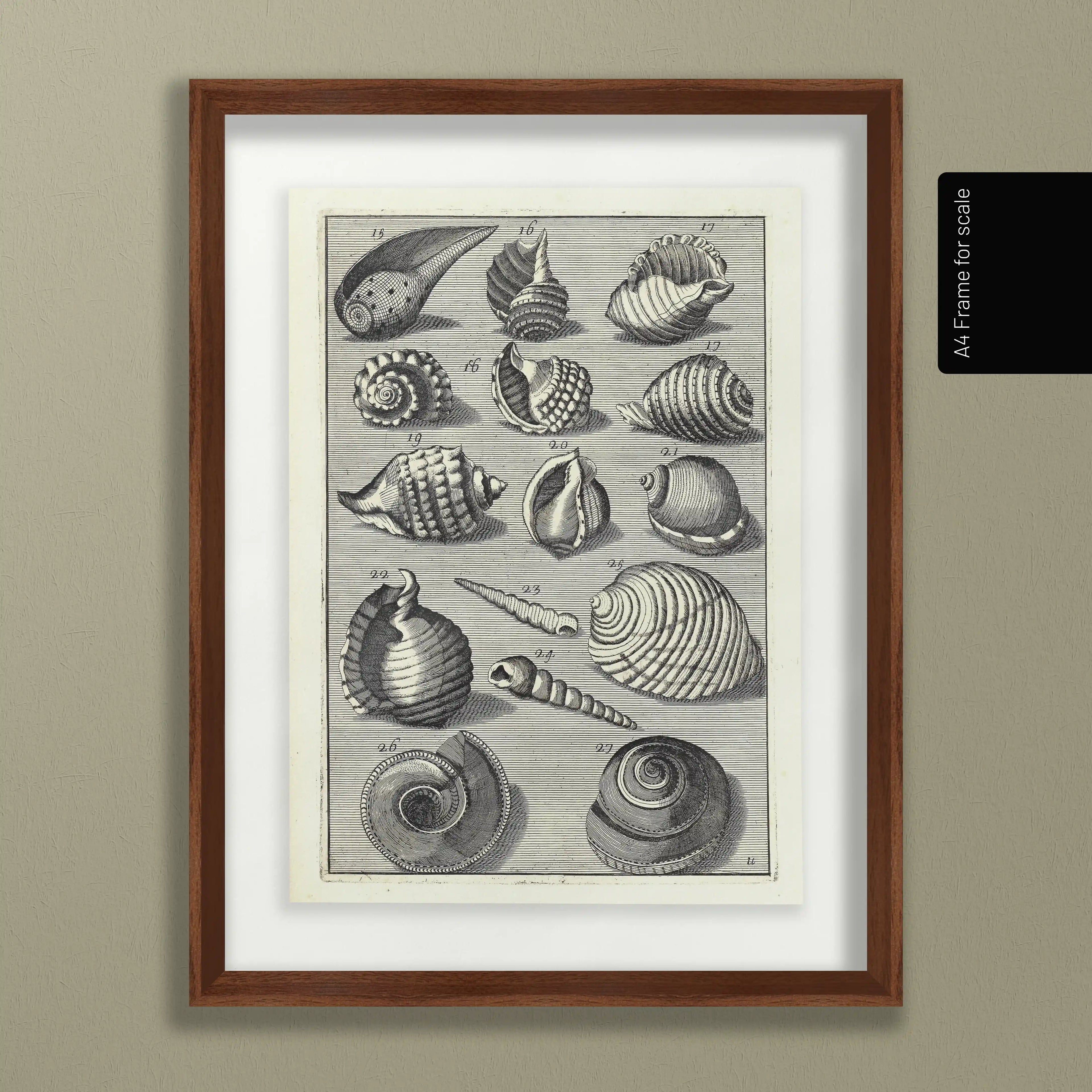 Archives: Plate No. 32