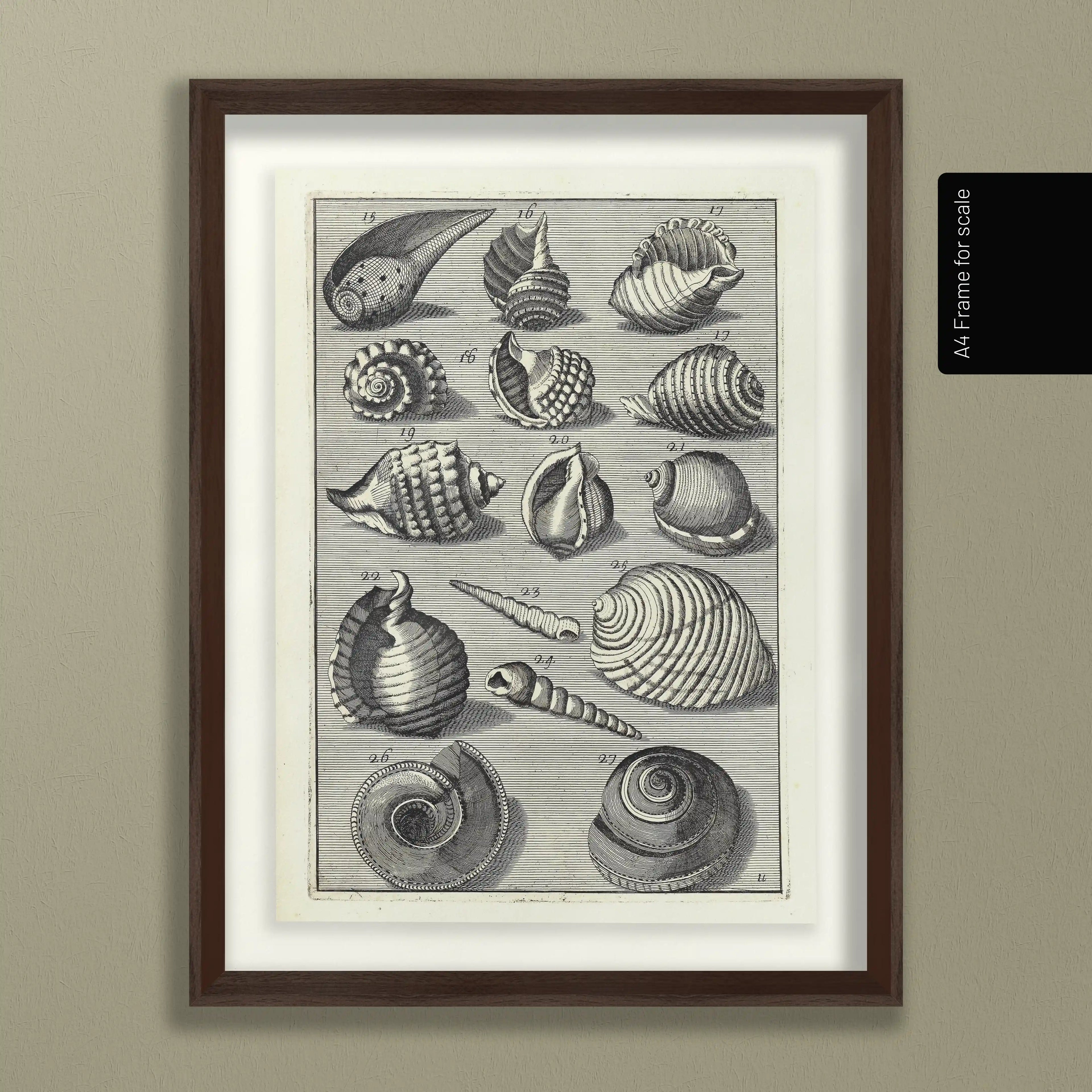 Archives: Plate No. 32