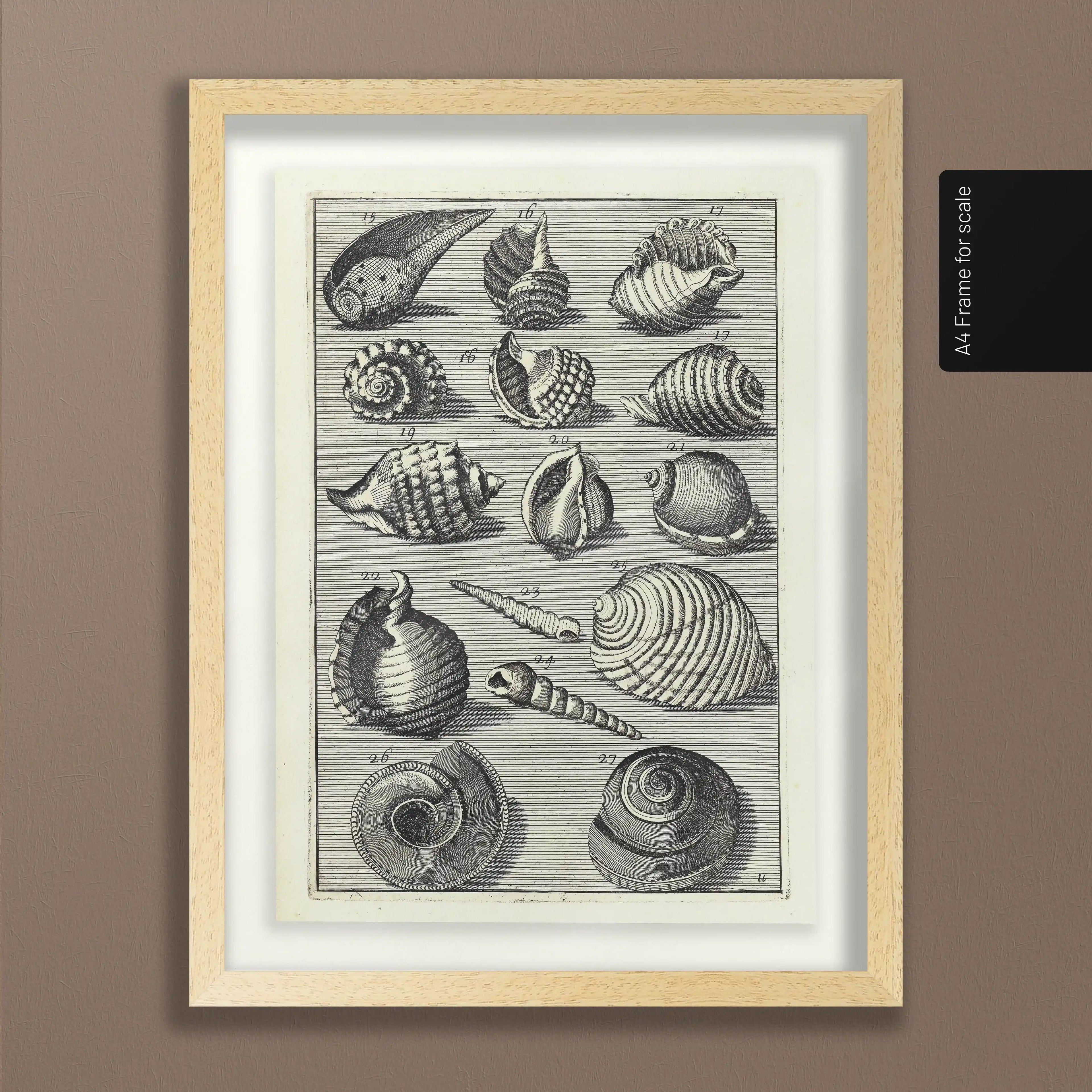 Archives: Plate No. 32