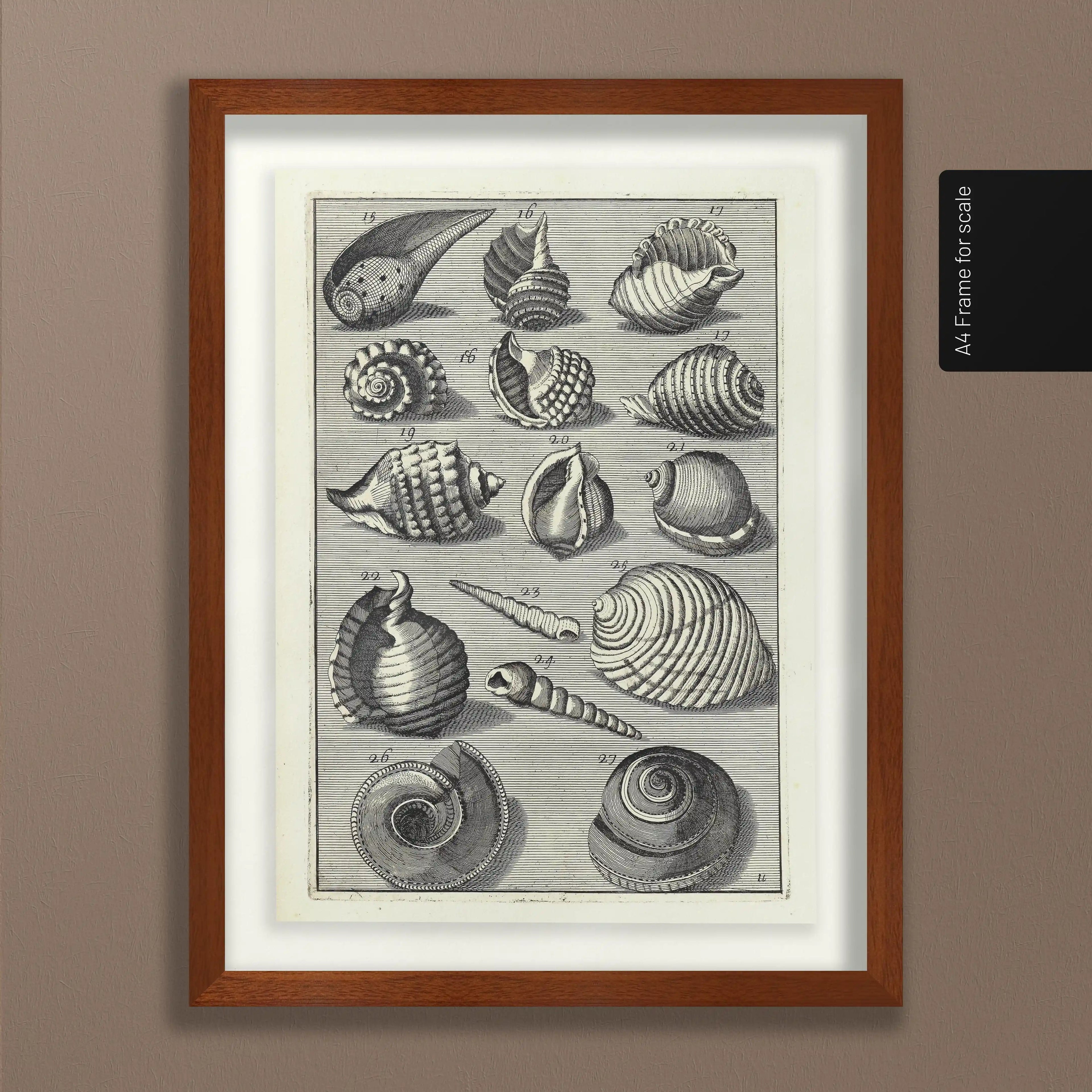 Archives: Plate No. 32