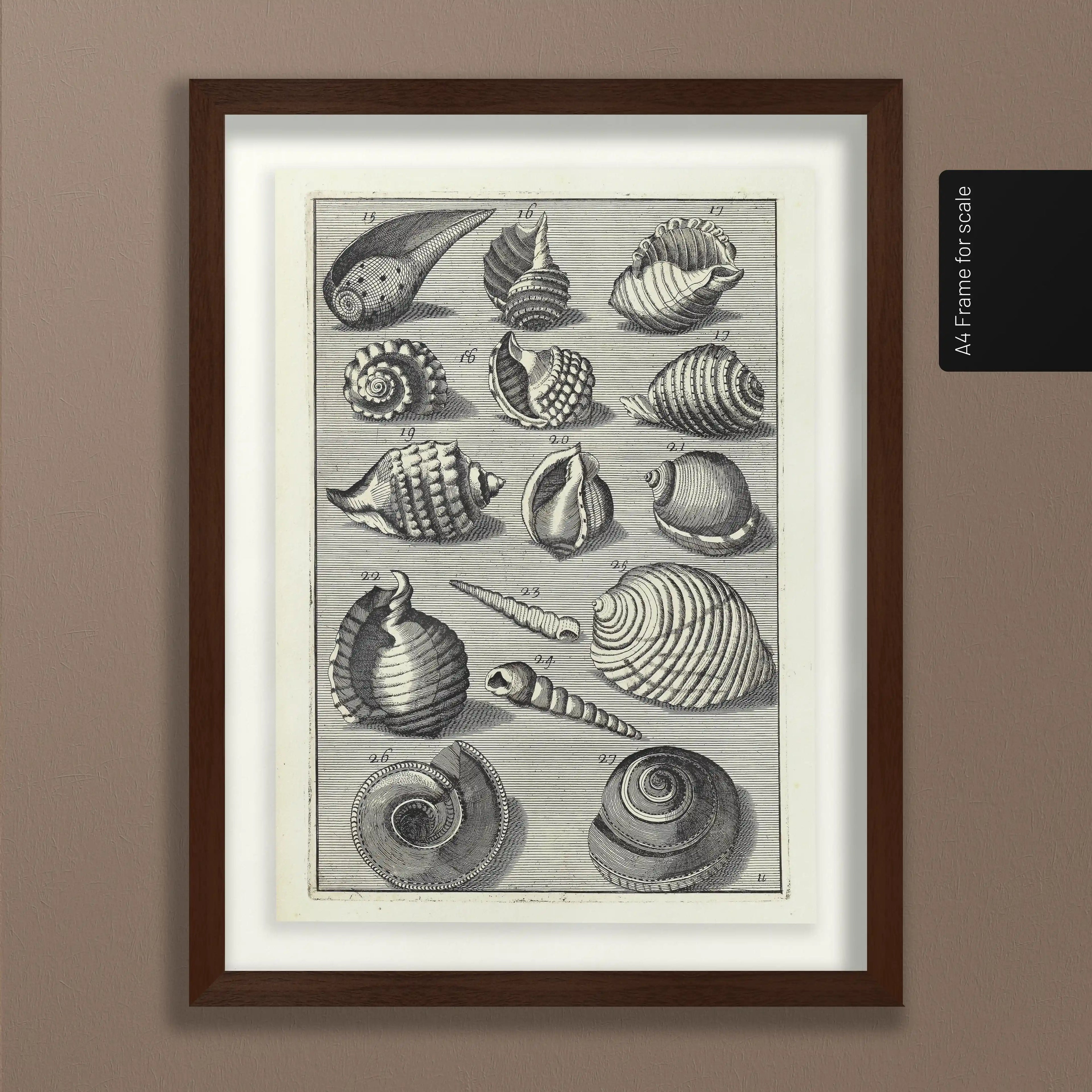 Archives: Plate No. 32