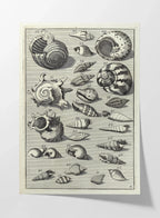 Archives: Plate No. 33