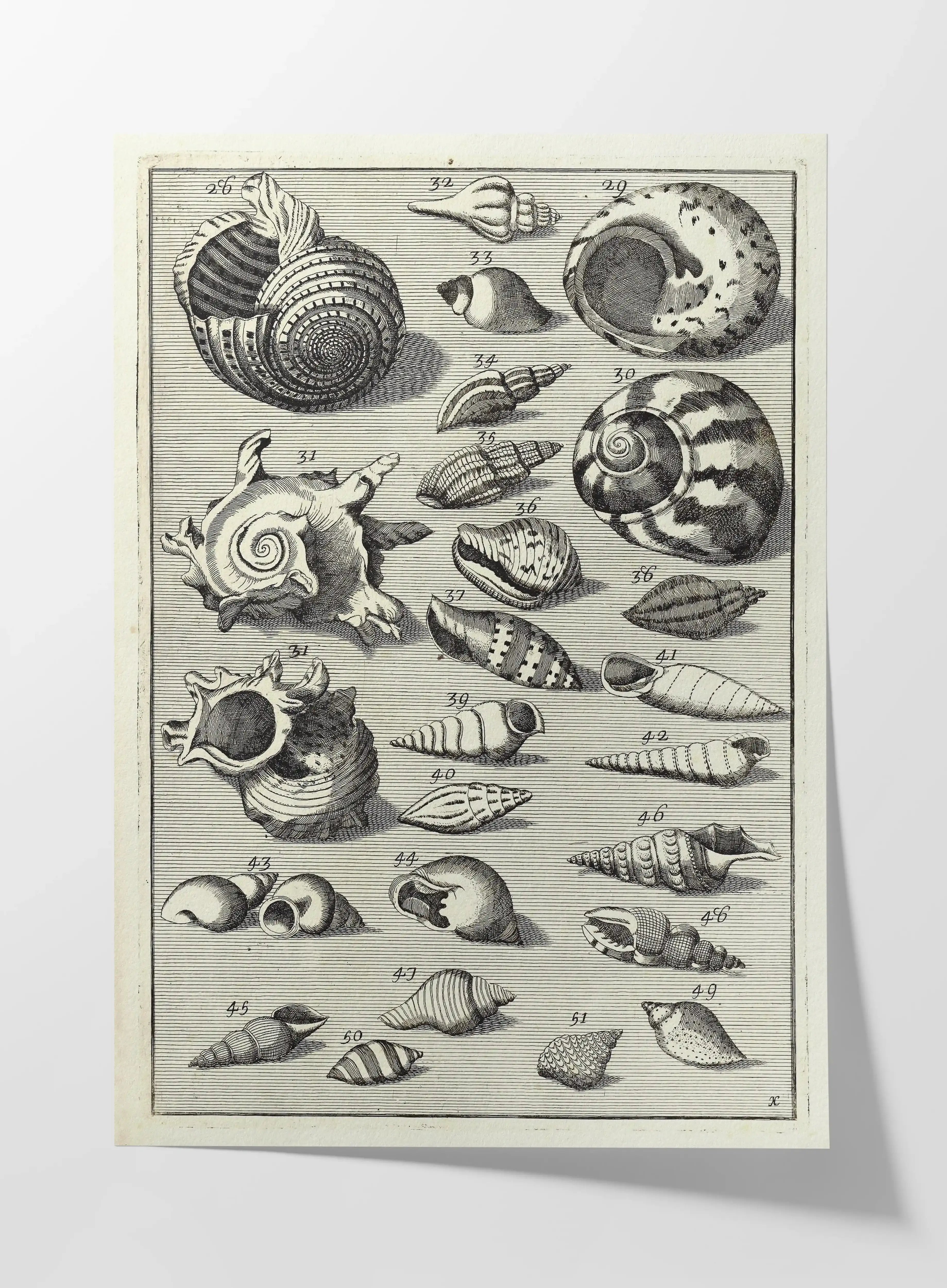 Archives: Plate No. 33