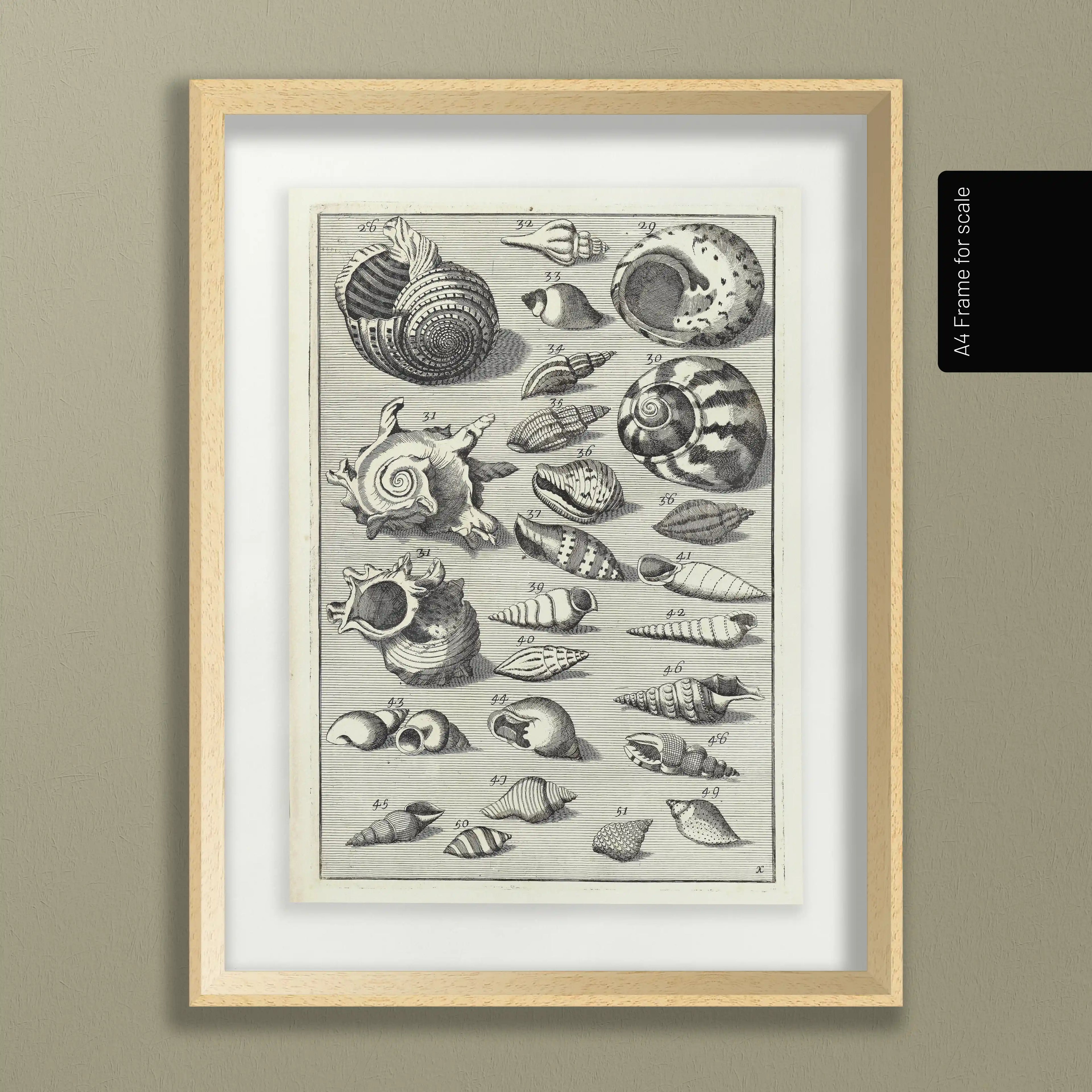 Archives: Plate No. 33