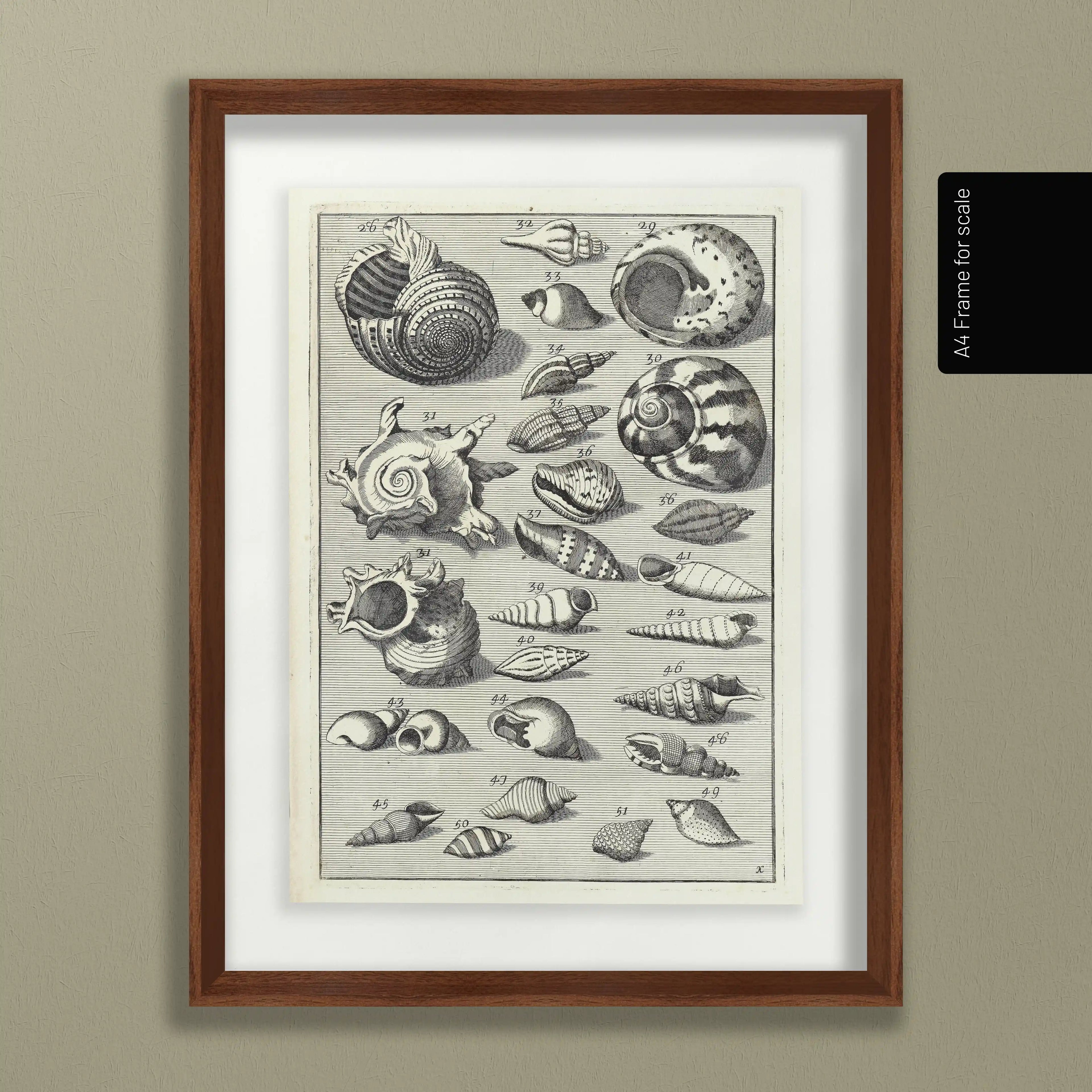 Archives: Plate No. 33