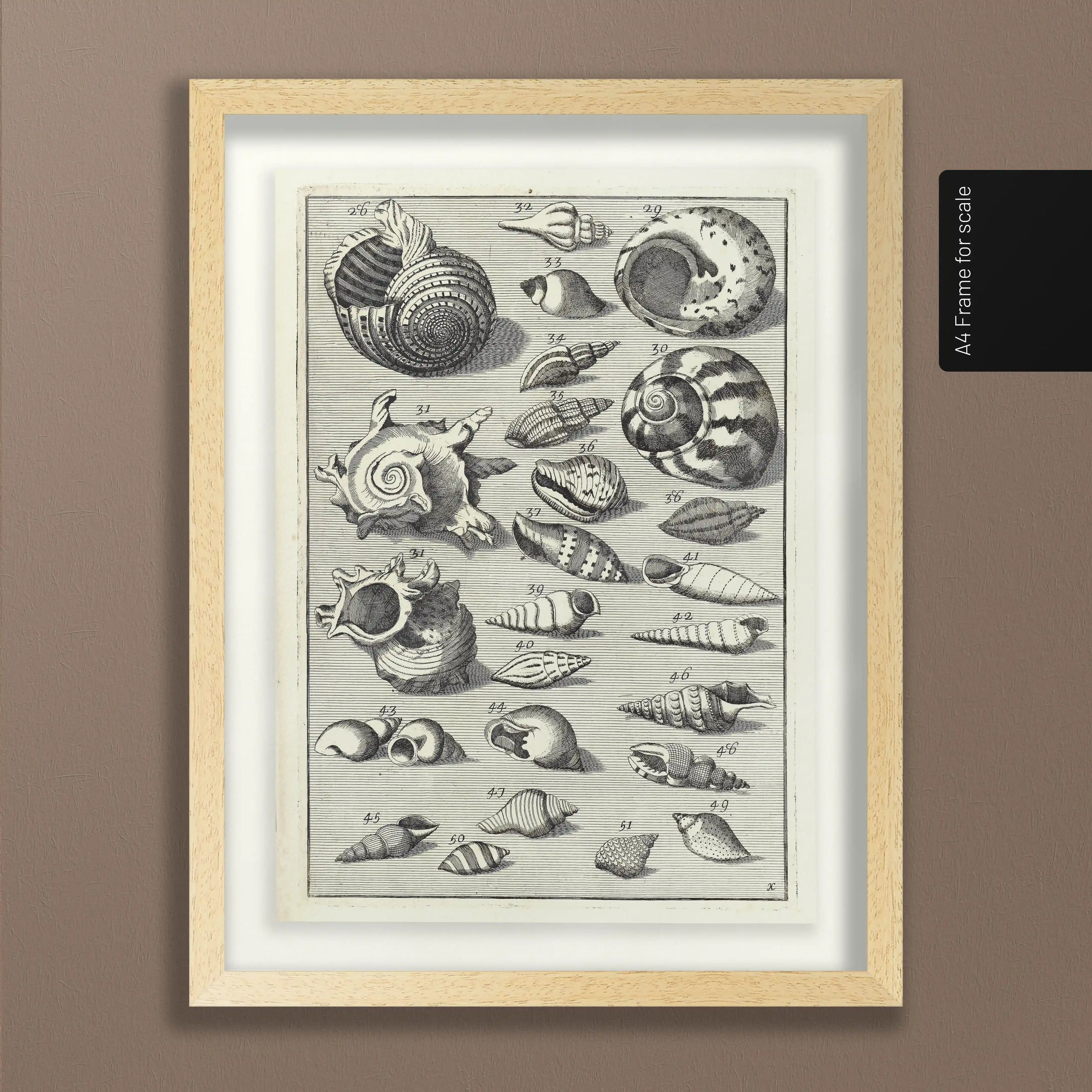 Archives: Plate No. 33