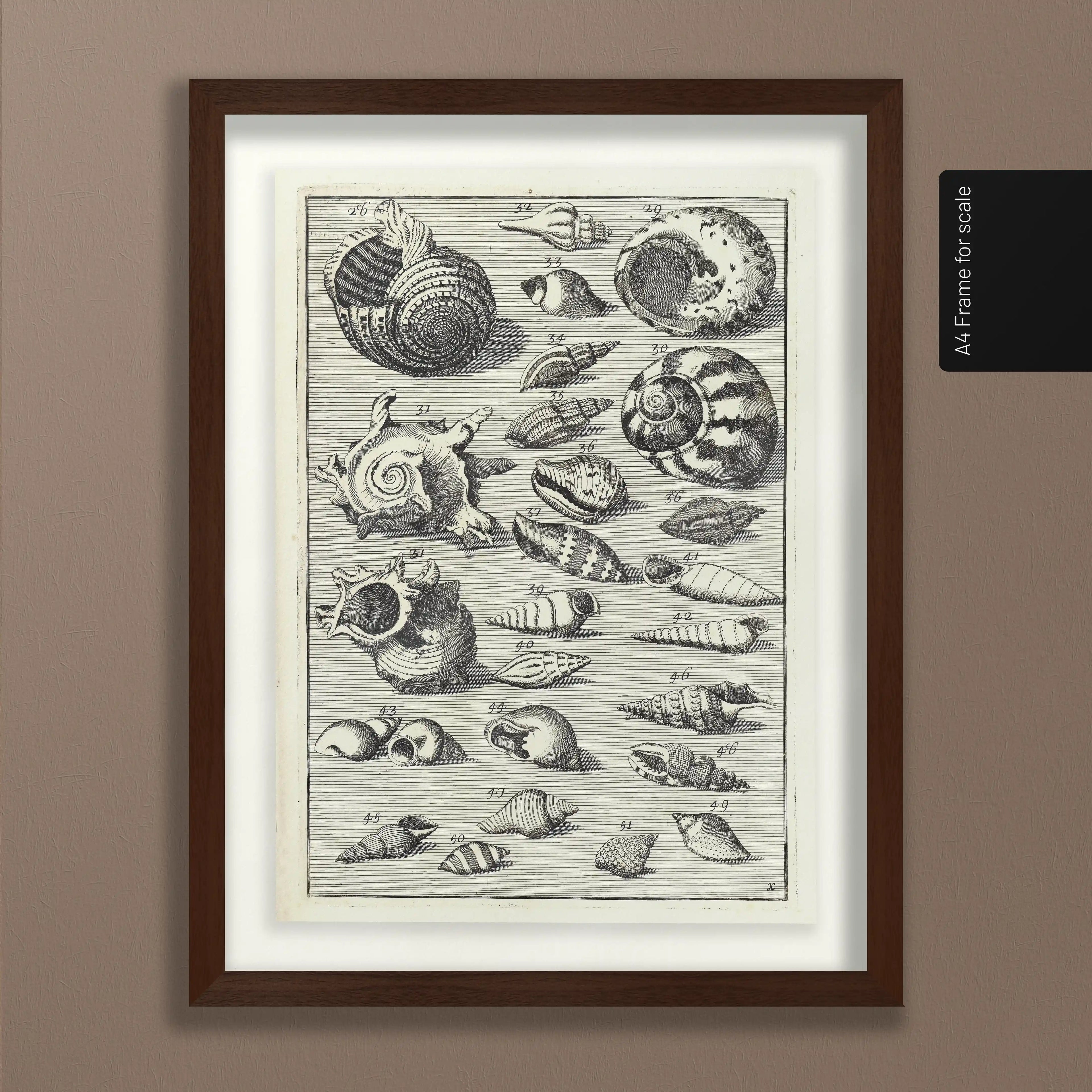 Archives: Plate No. 33