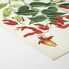 Floral: Plate No. 02