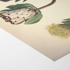Floral: Plate No. 03